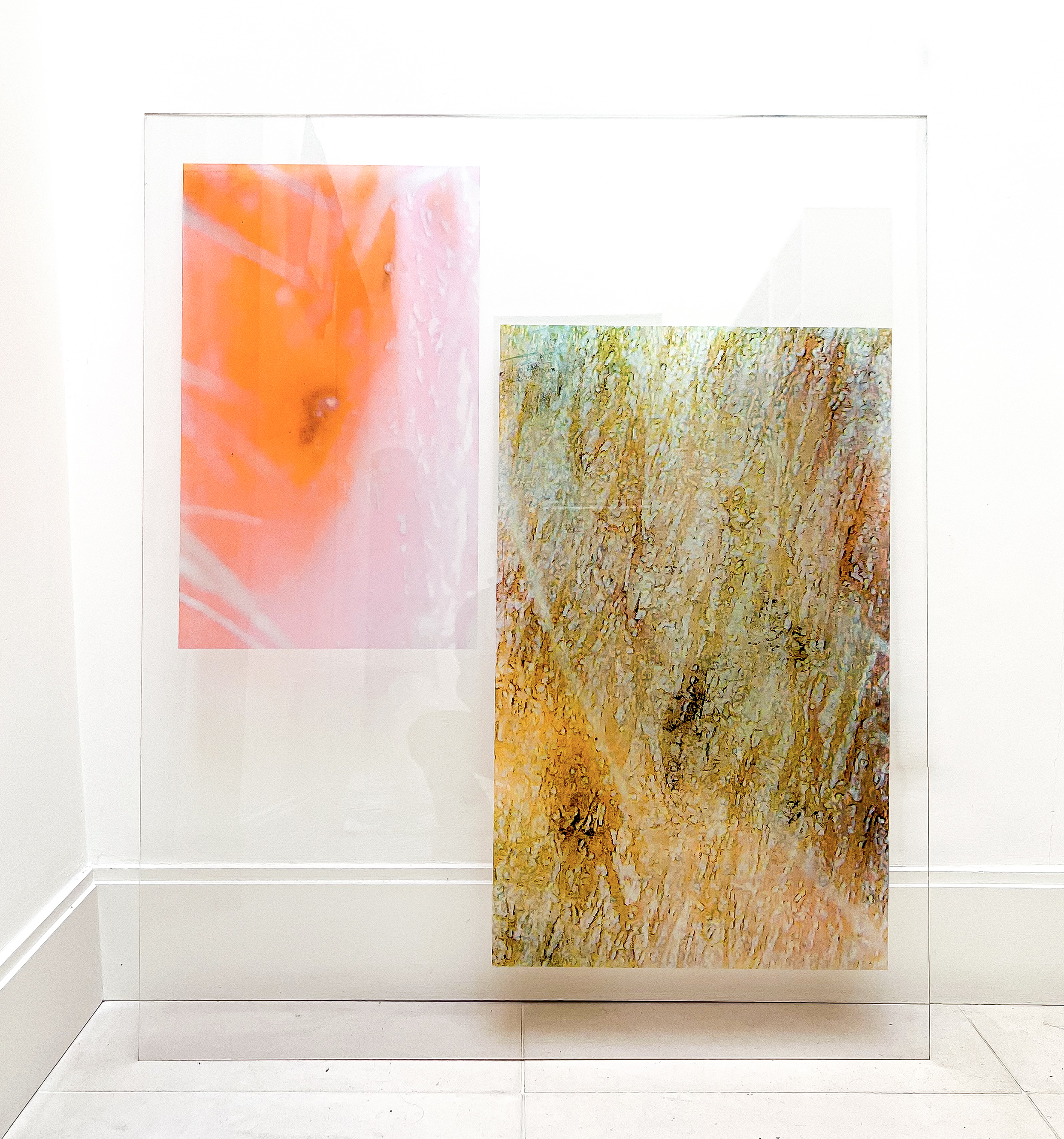 Restricted Flesh - Artwork