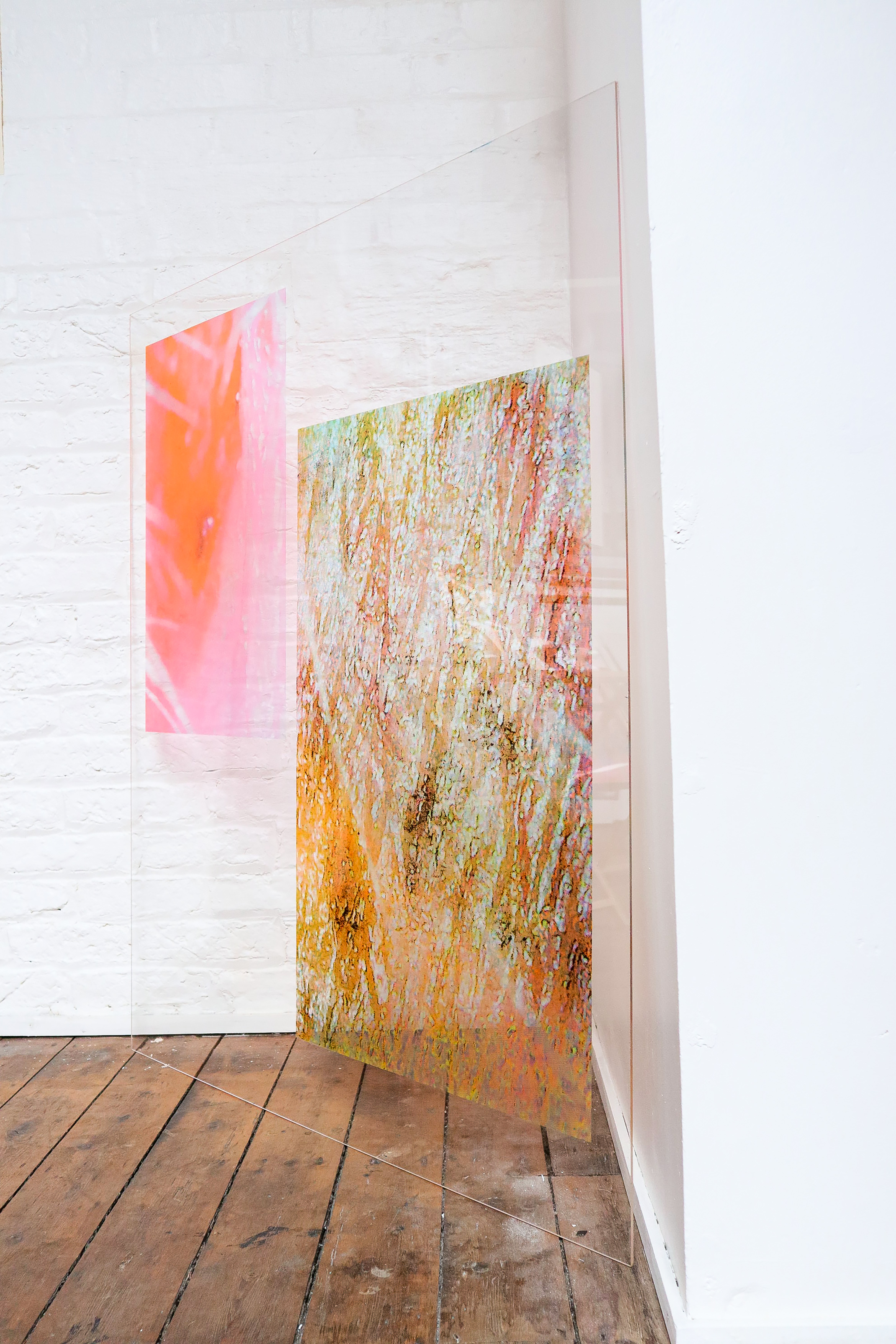 Restricted Flesh - Artwork