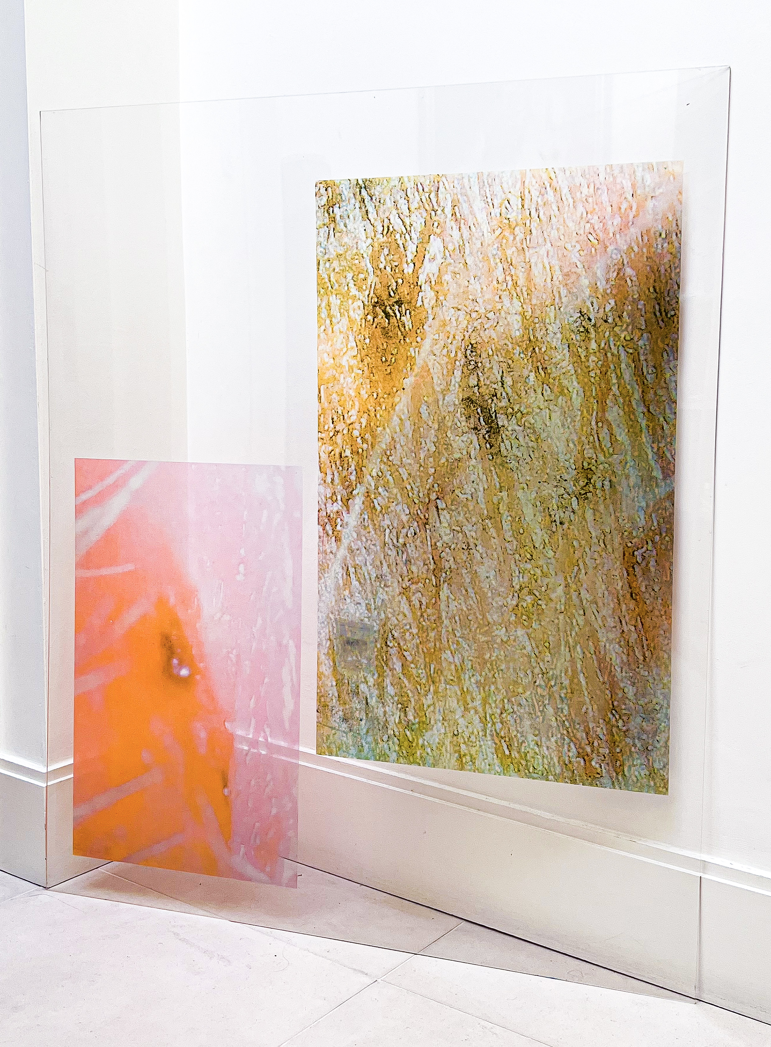 Restricted Flesh - Artwork