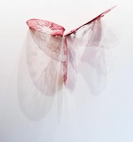 Transcendence - Artwork