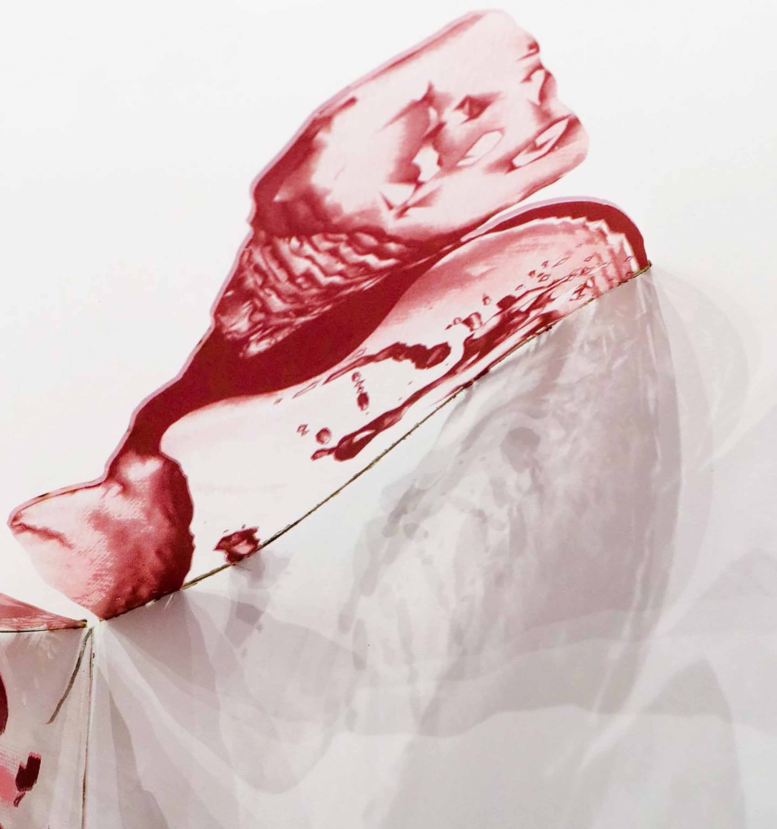 Transcendence - Artwork