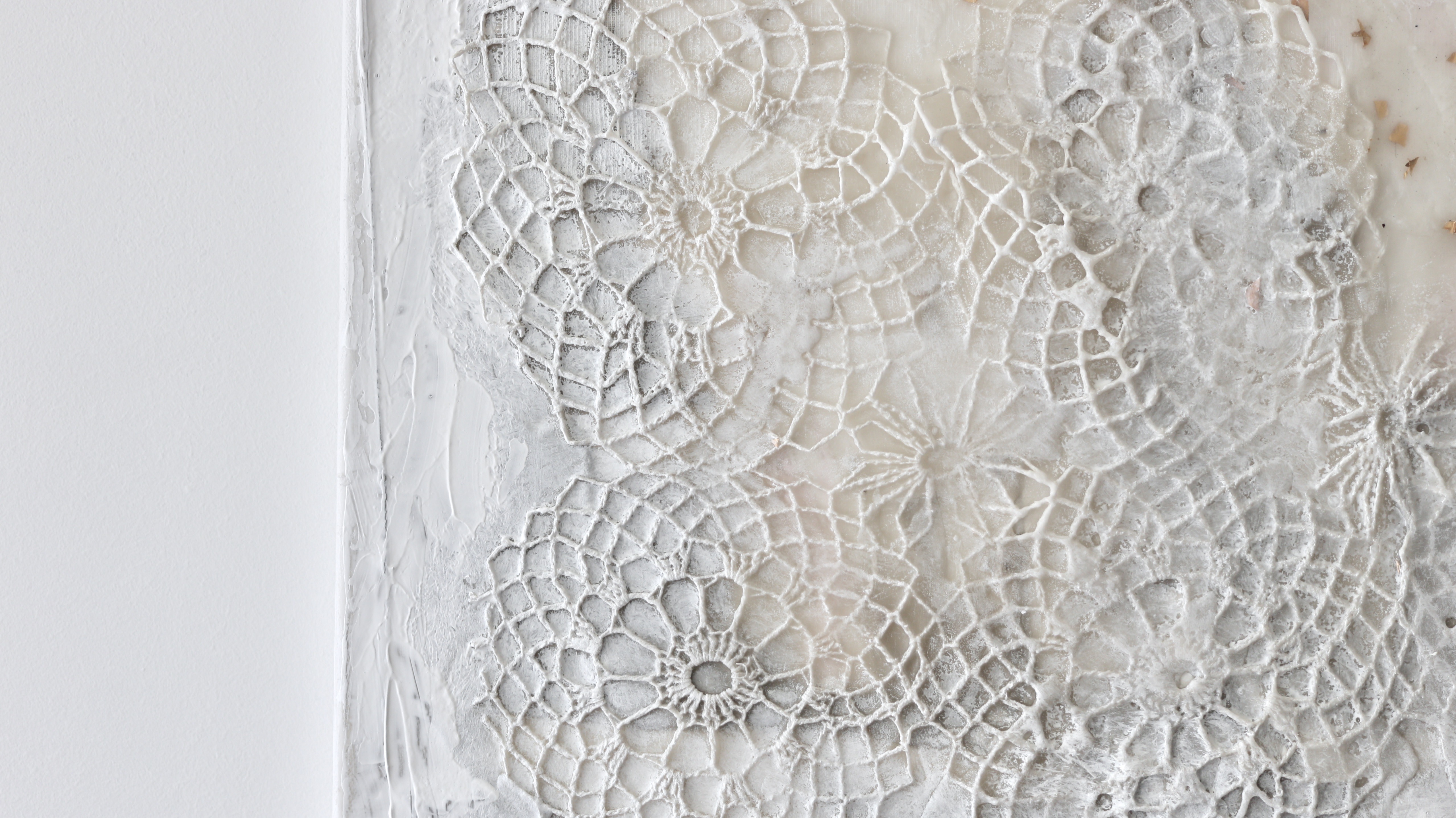 Doily 2020 - Artwork