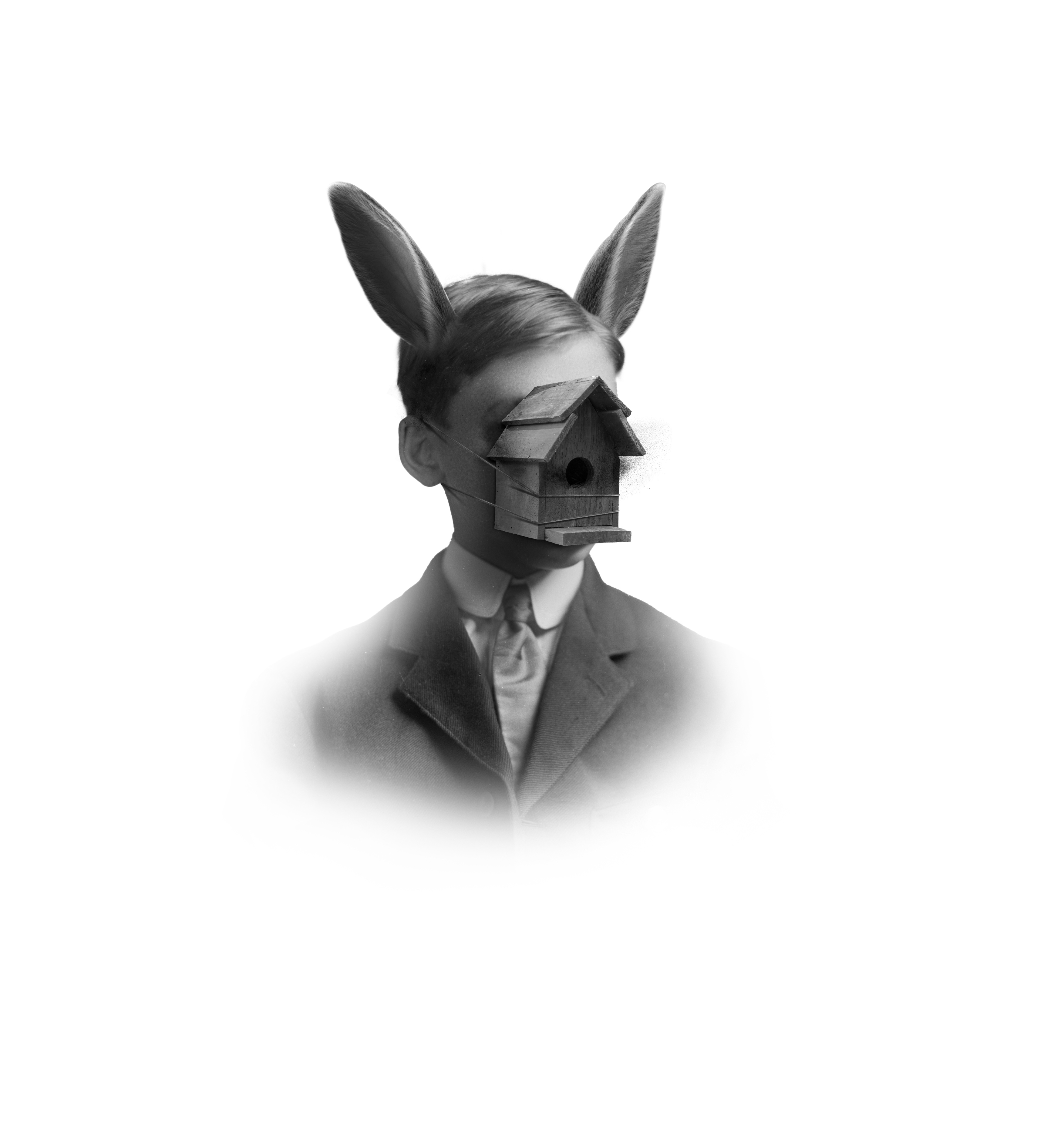 Bird Nest  - Artwork