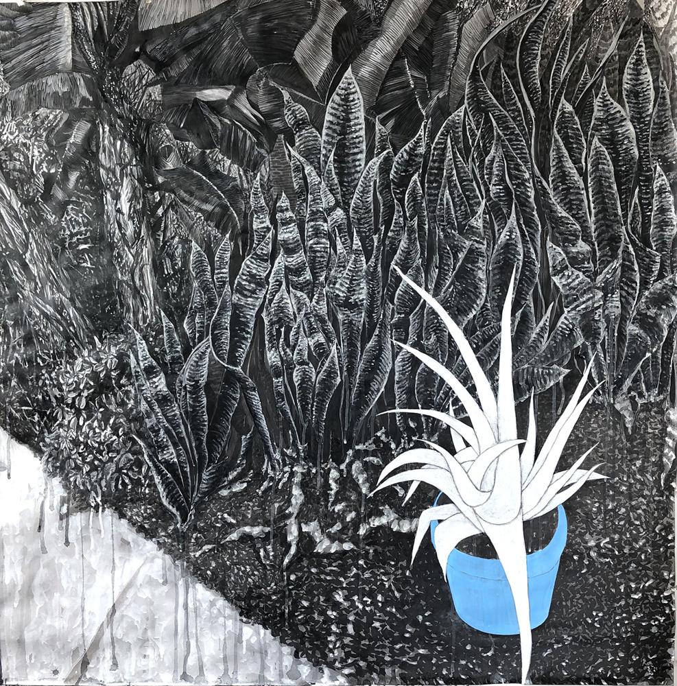 Consuelo's Garden, from My Social Media feed on Ink - Artwork