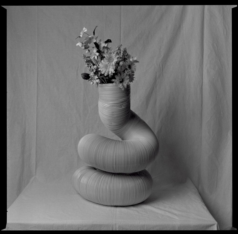 Rinascita / Reborn - Artwork