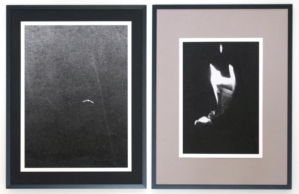 Parallelismo - Artwork