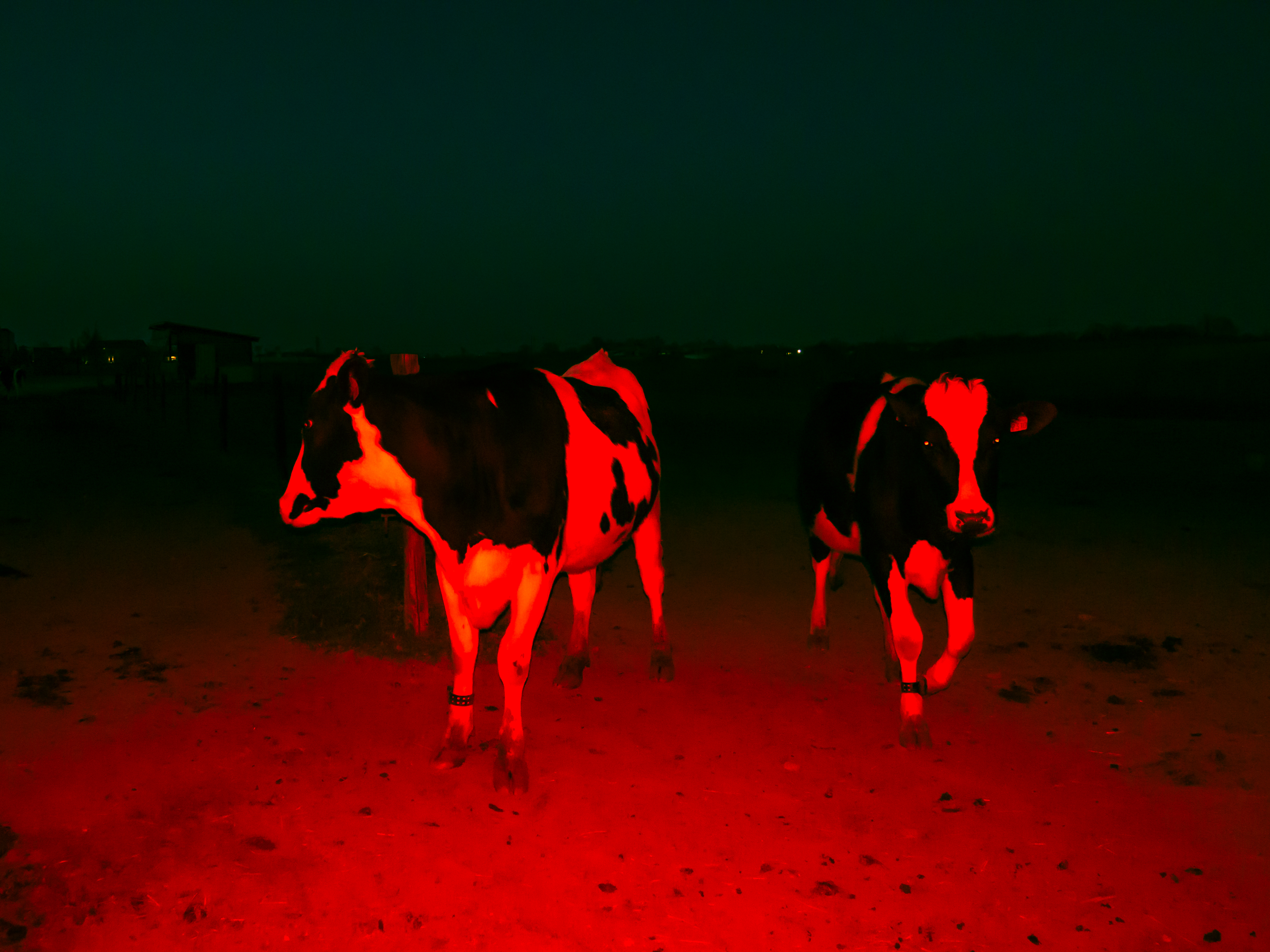 Dive project - Artwork