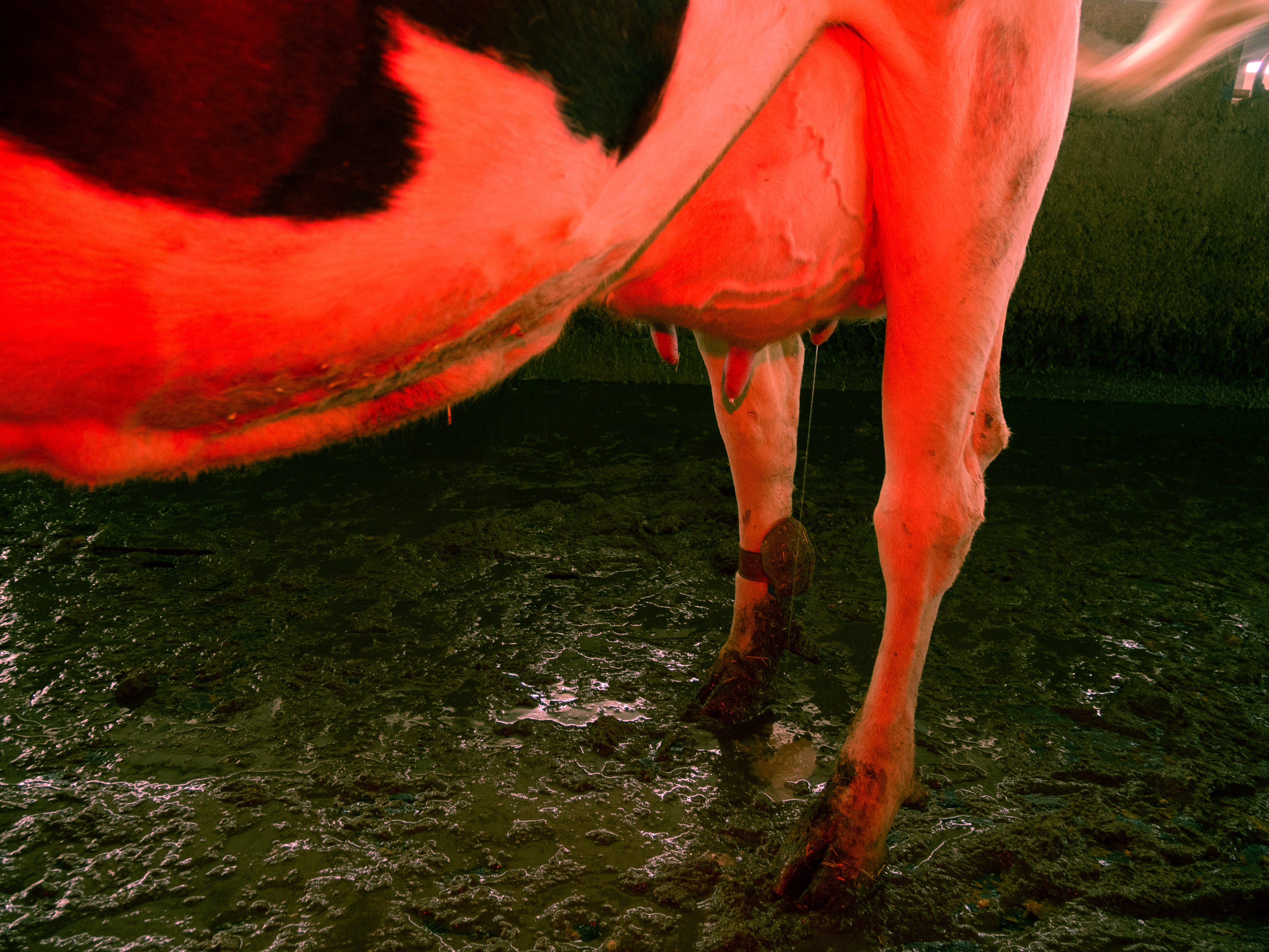 Dive project - Artwork