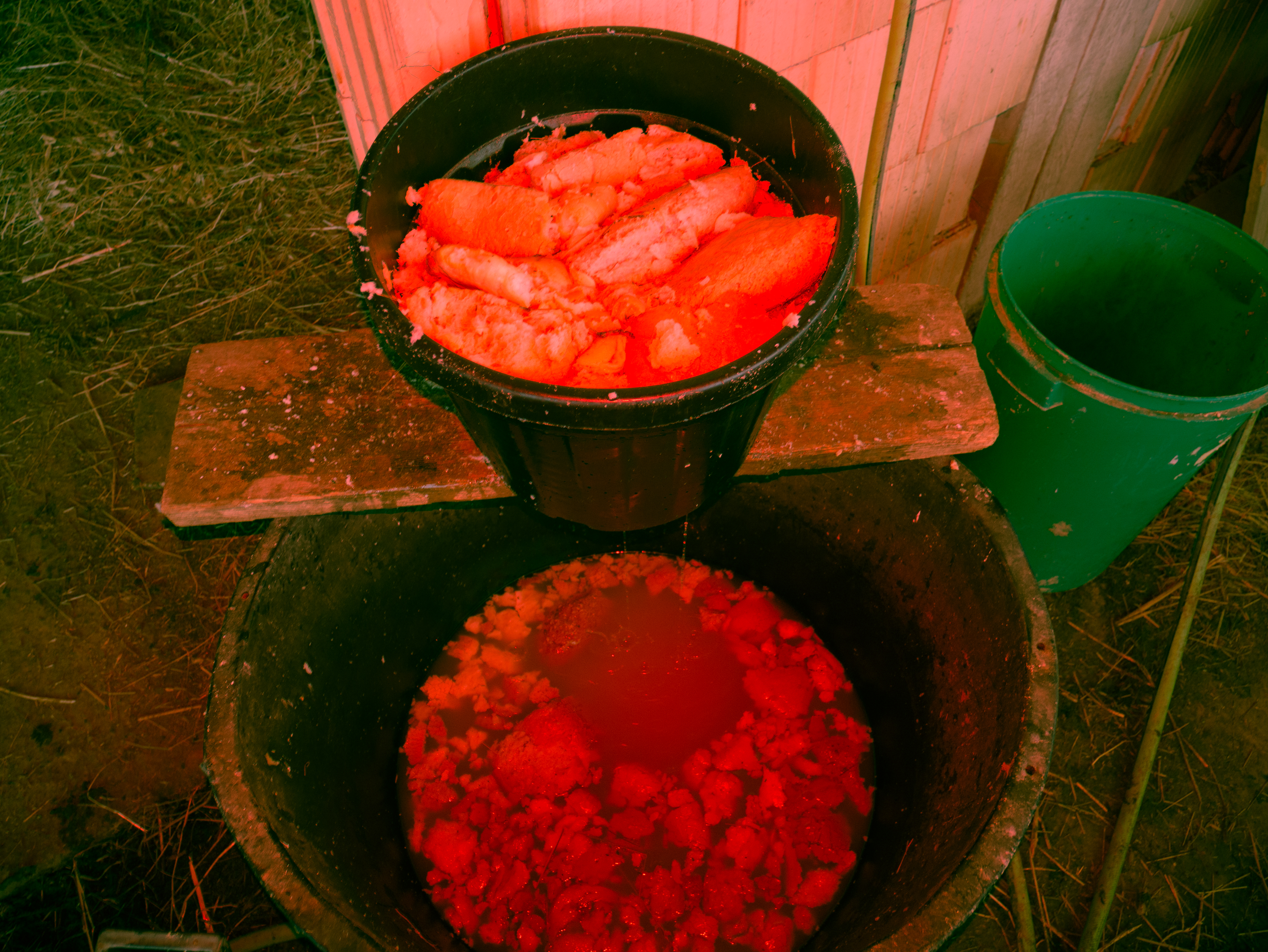 Dive project - Artwork