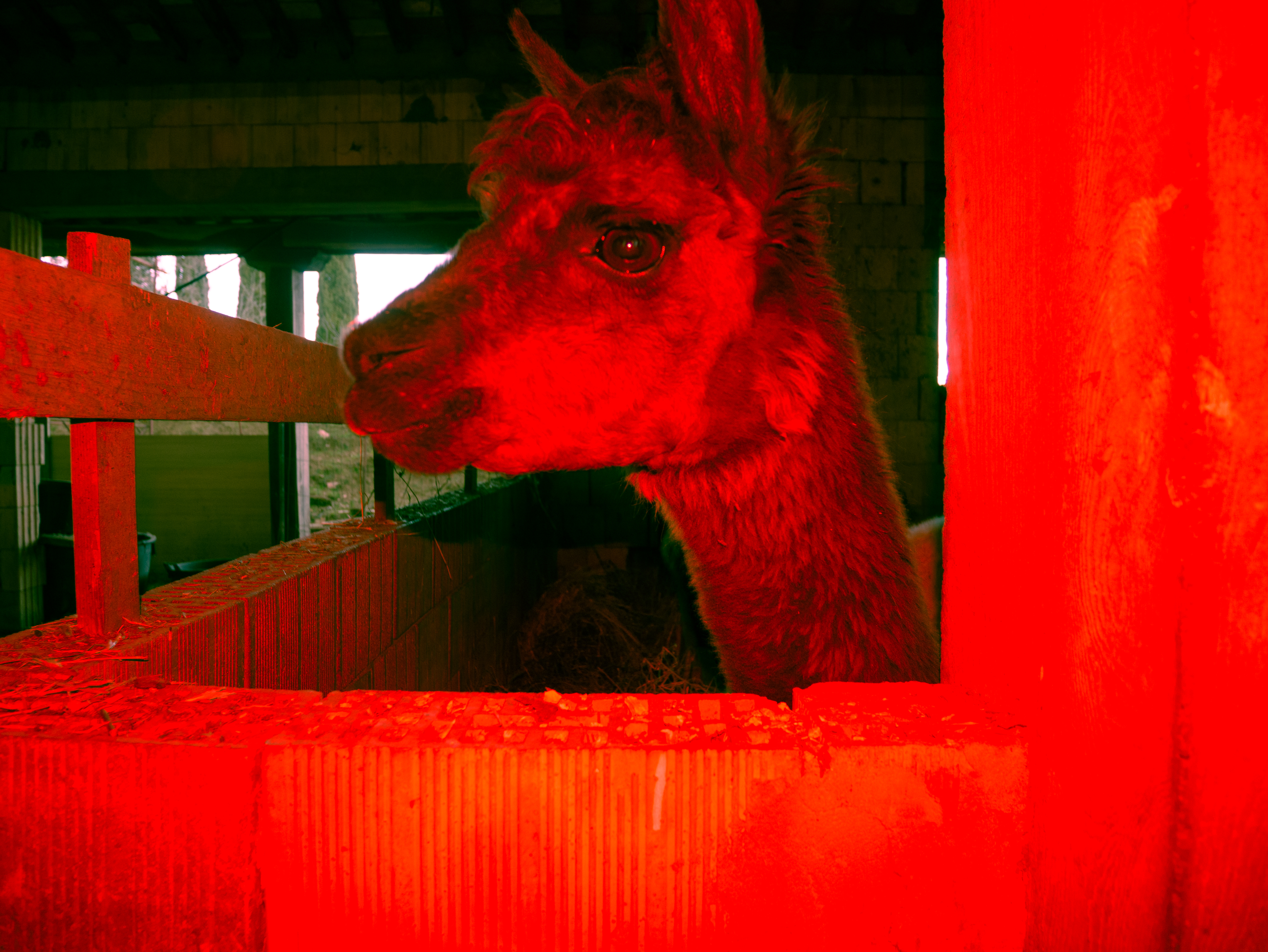 Dive project - Artwork