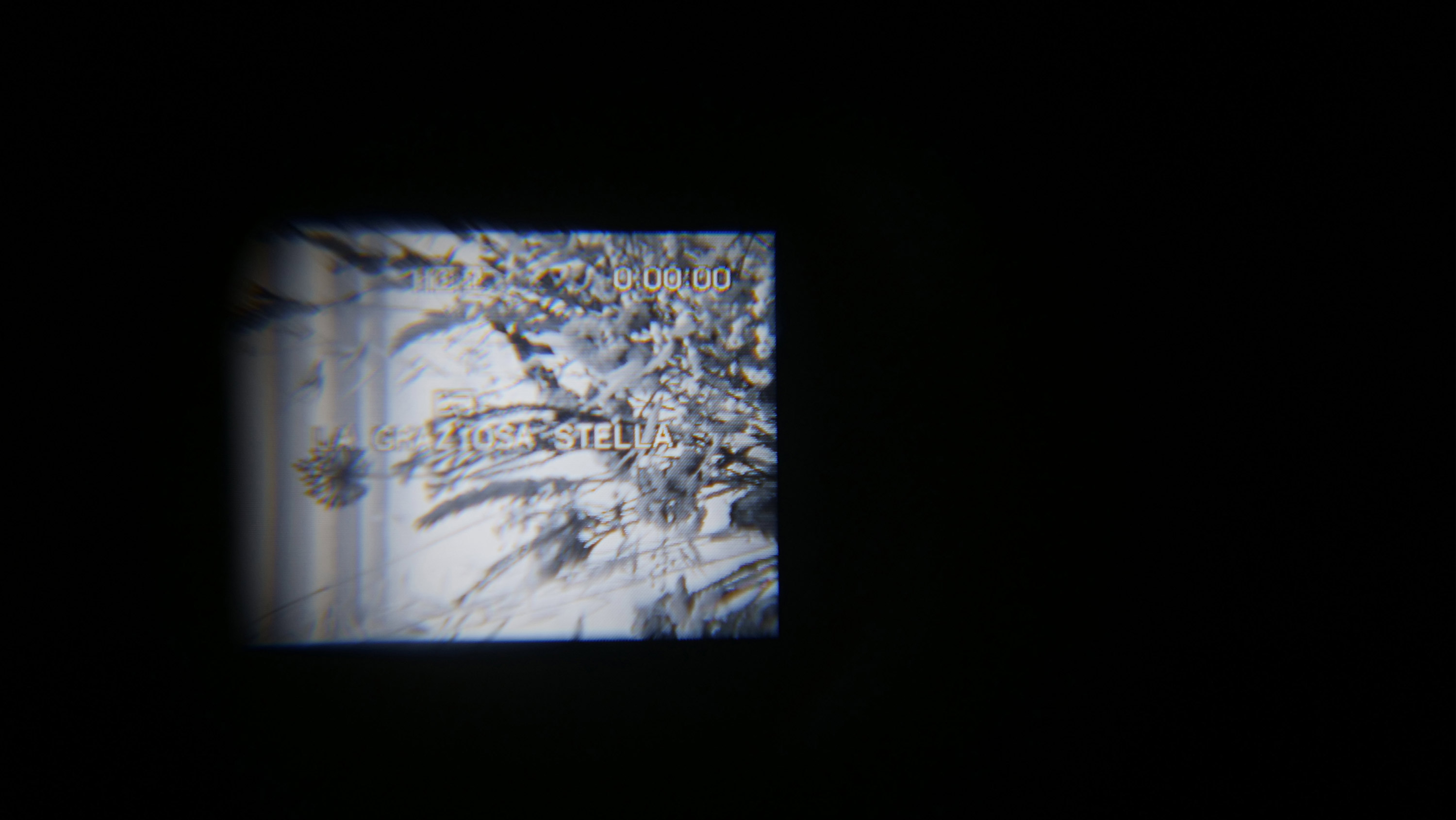 STELLA DEL MATTÏNO - Artwork