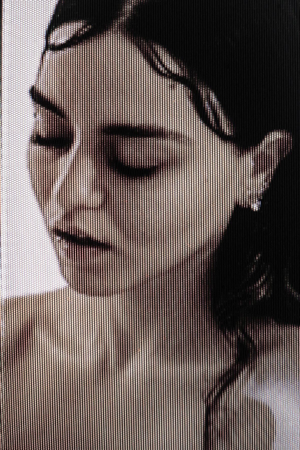 Rosa Mystica - Artwork