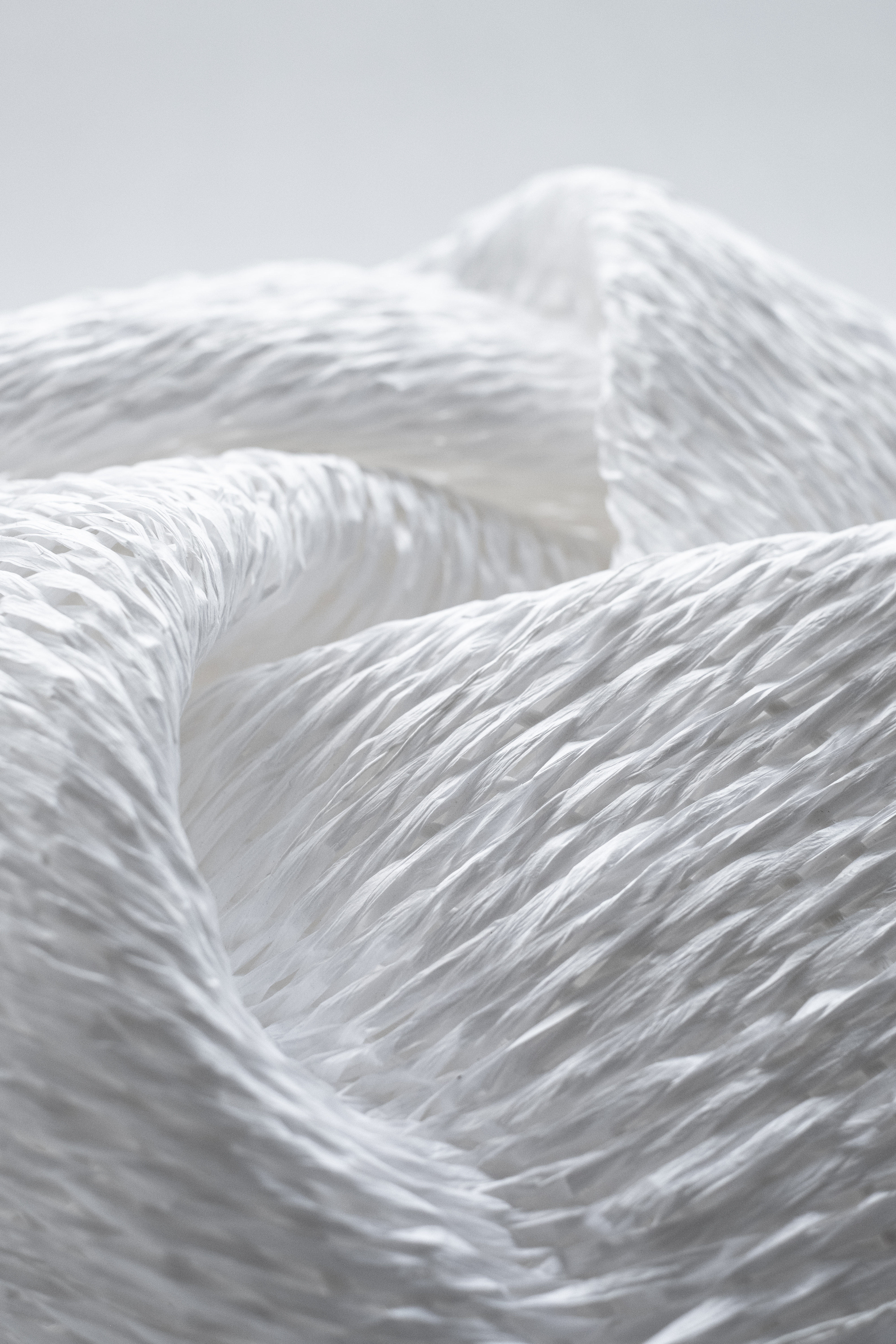 Nido Ritorto - Artwork