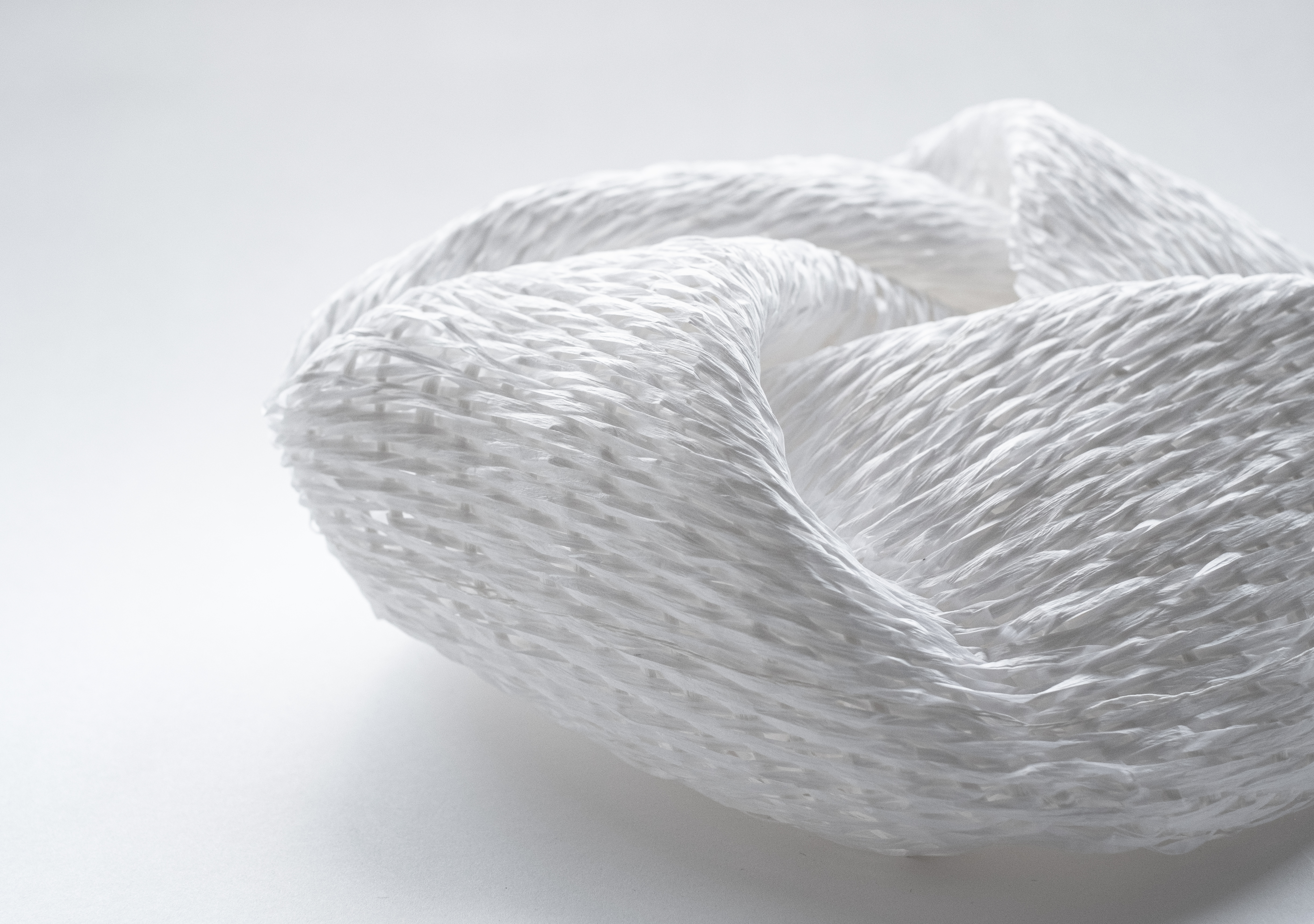 Nido Ritorto - Artwork