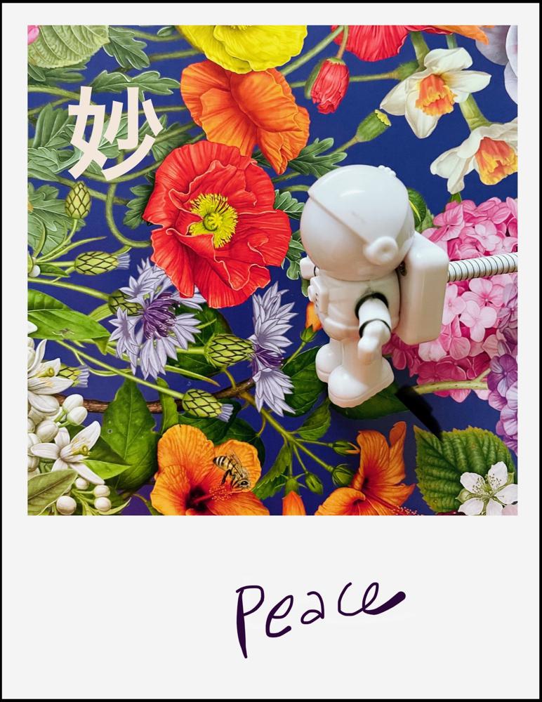 A new world (peace) - Artwork