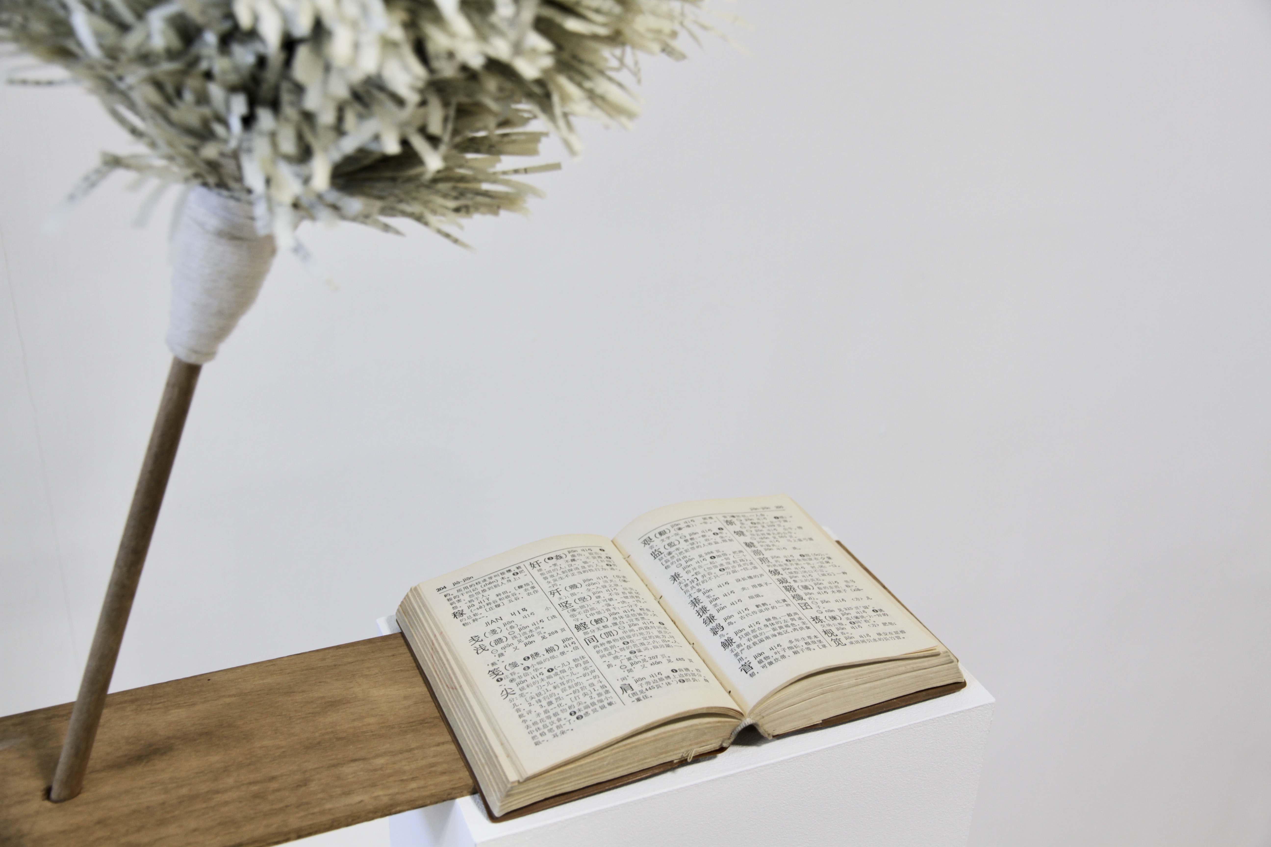 Dictionary Duster - Edition 0 - Artwork