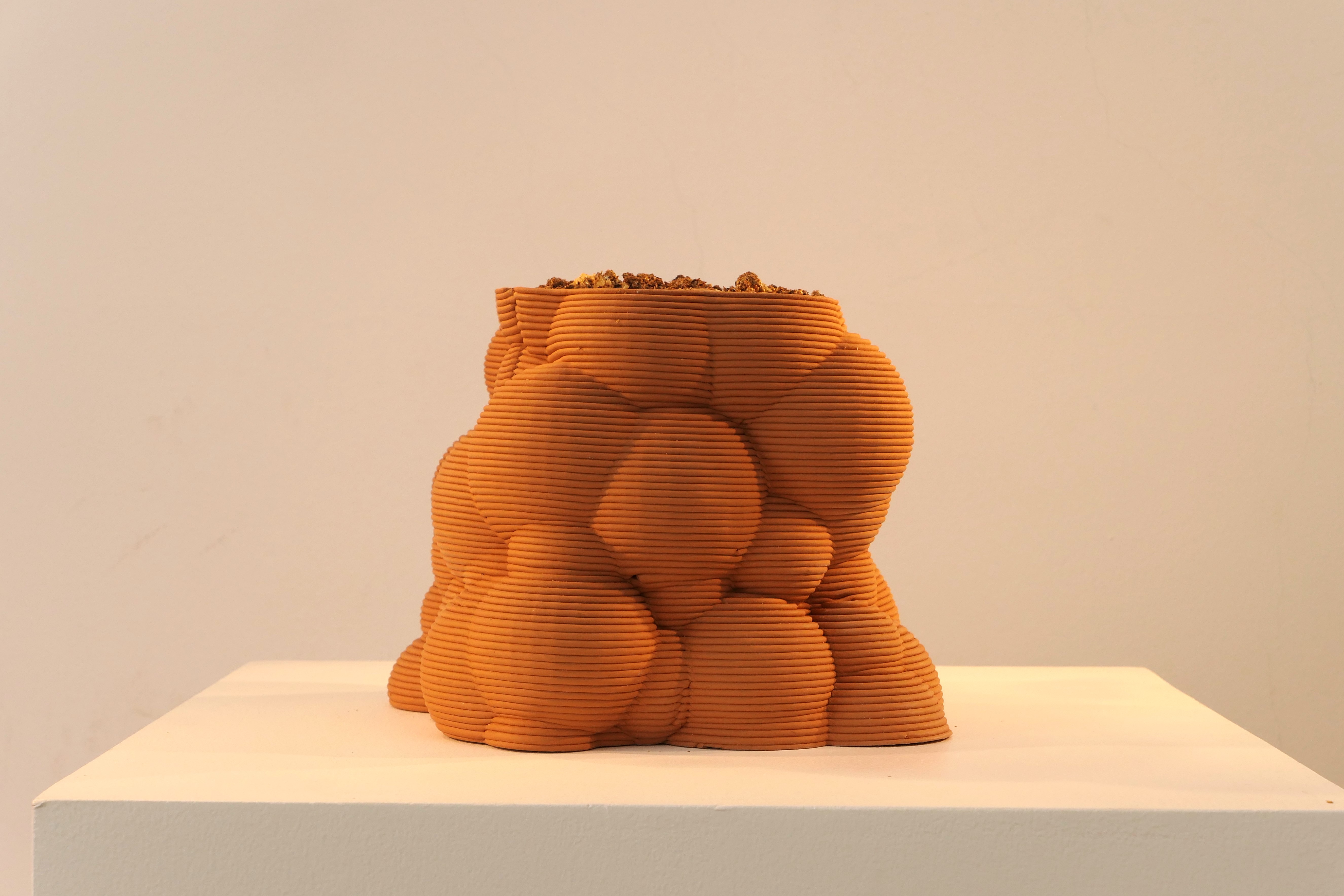 Honguera Series_ 04 - Artwork