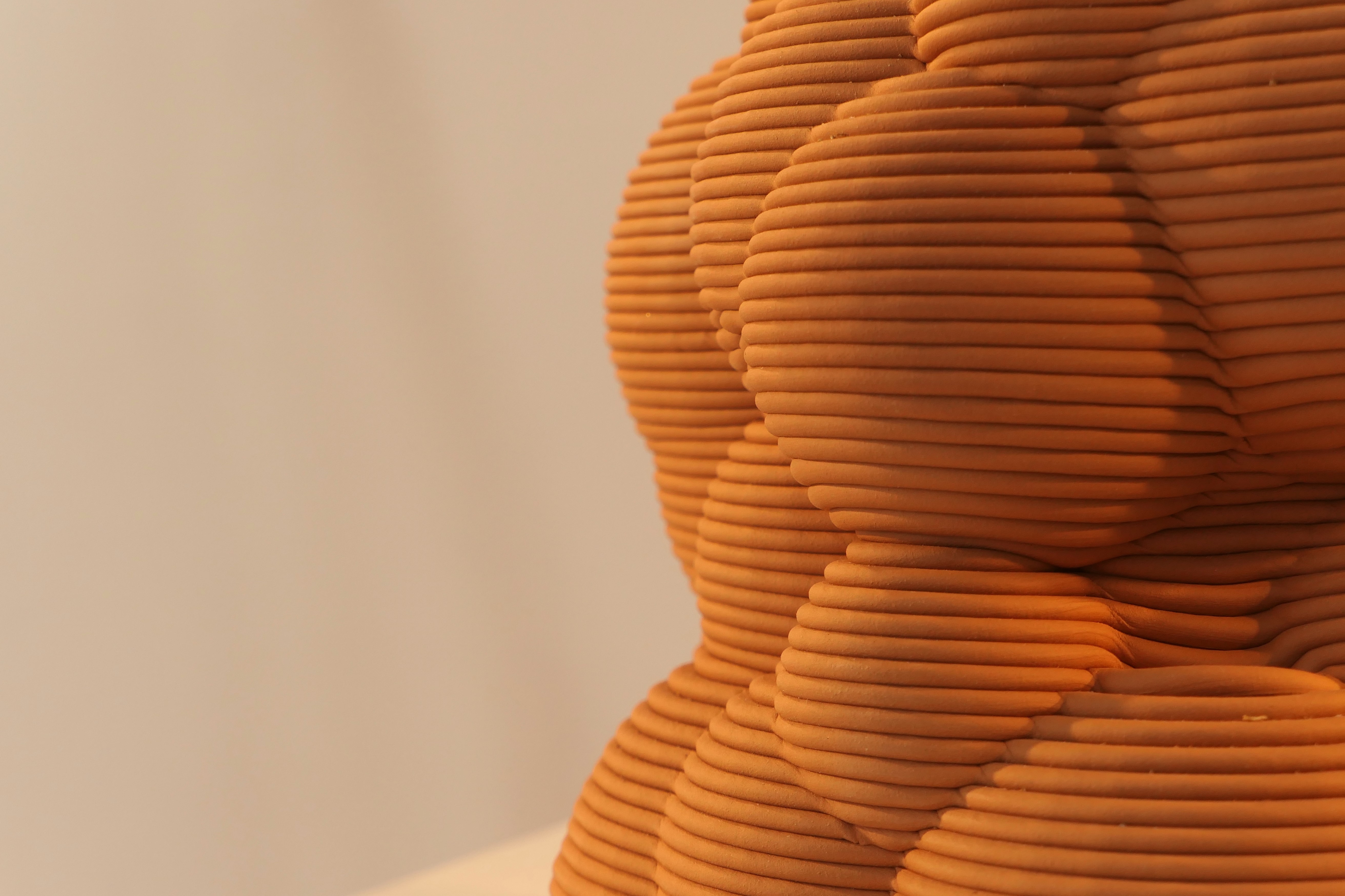 Honguera Series_ 04 - Artwork