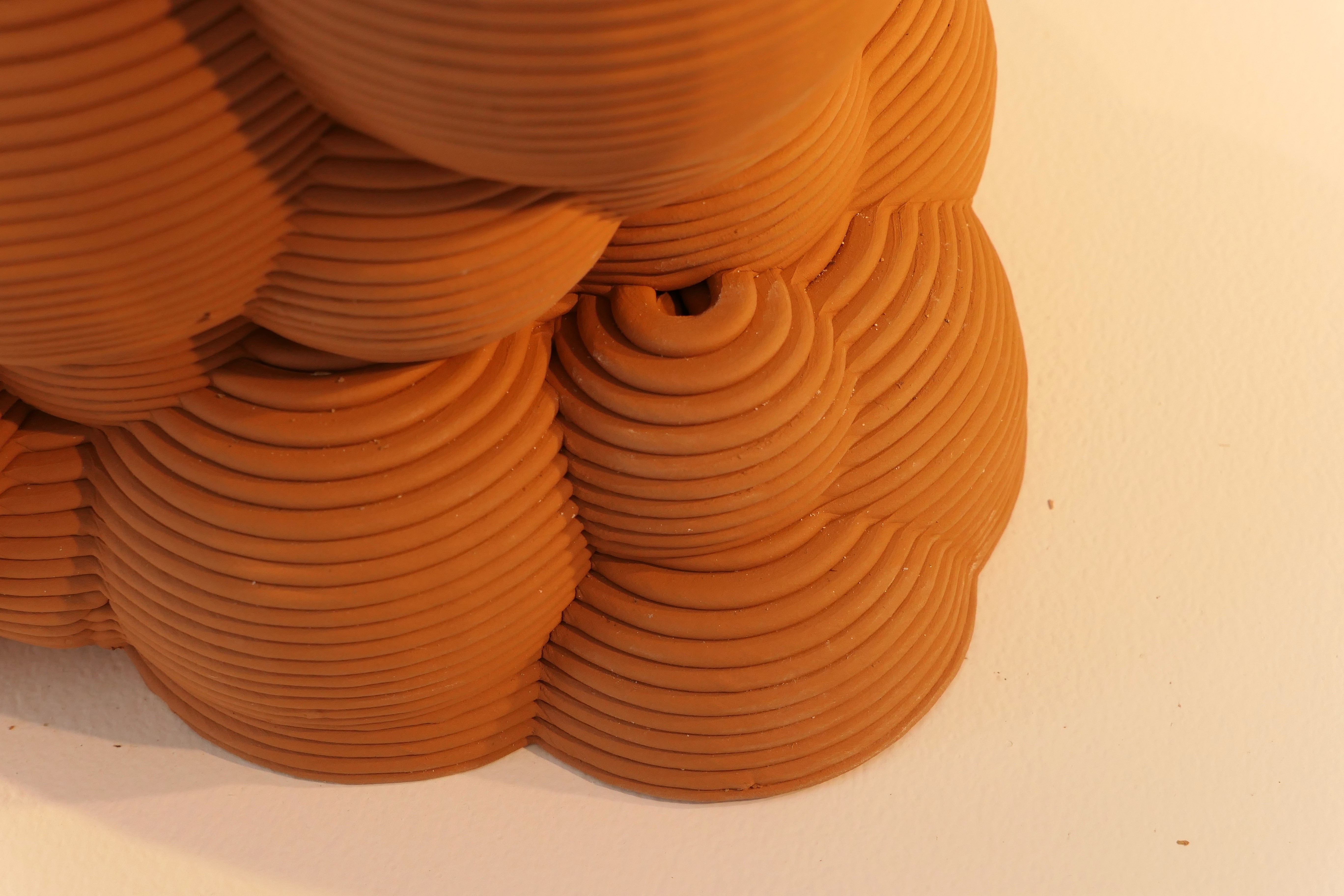 Honguera Series_ 04 - Artwork