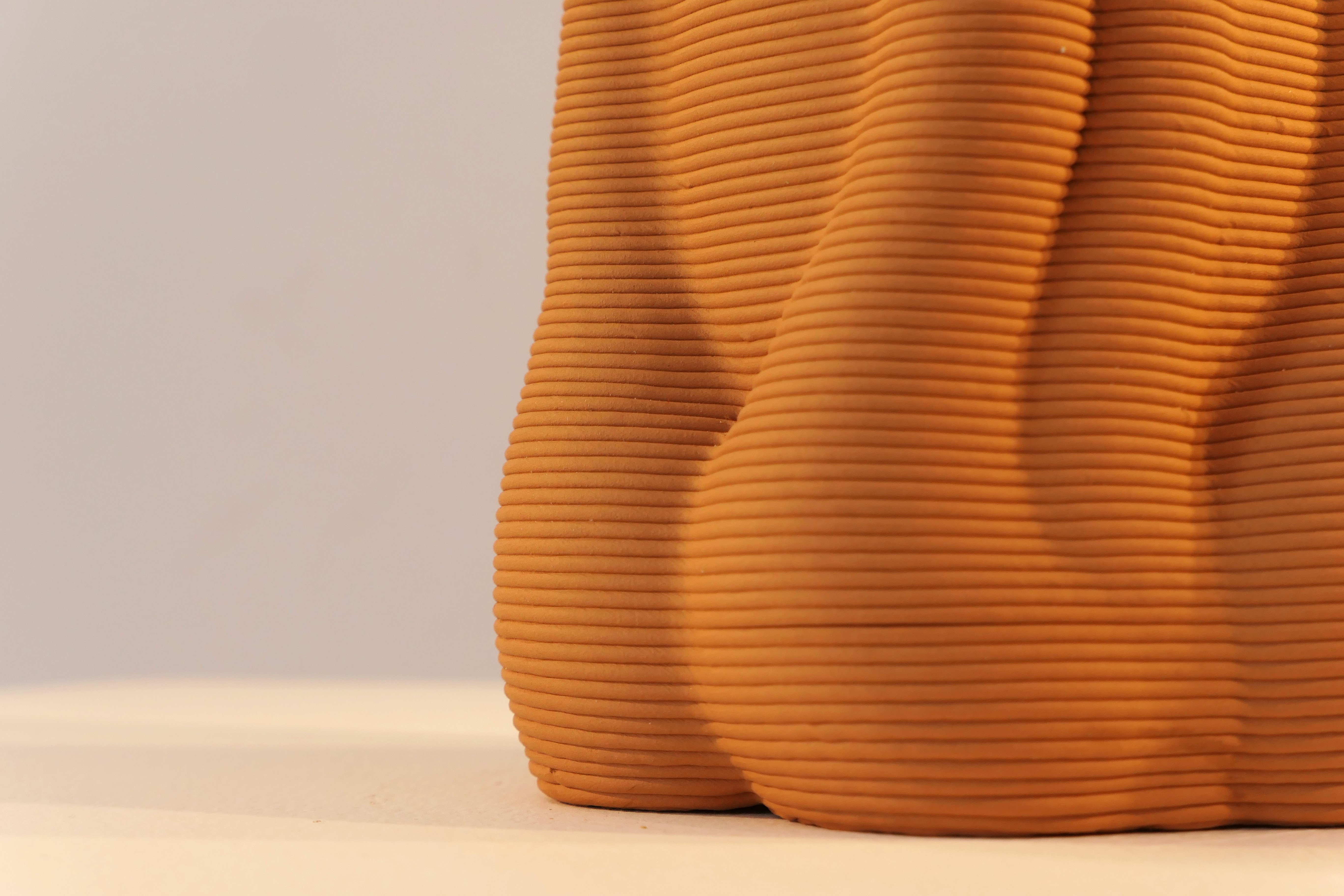 Honguera Series_ 01 - Artwork