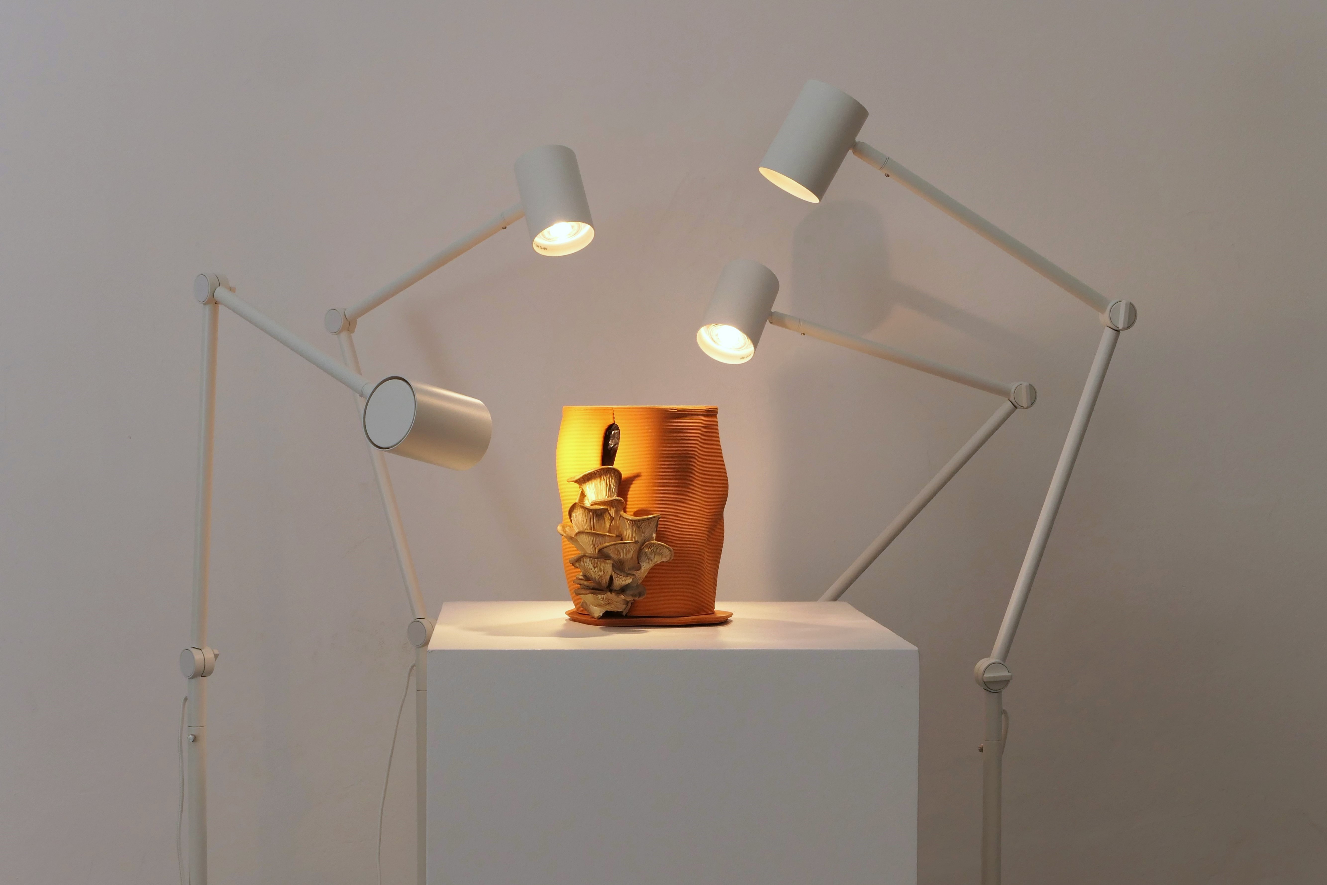 Honguera Series_ 03 - Artwork