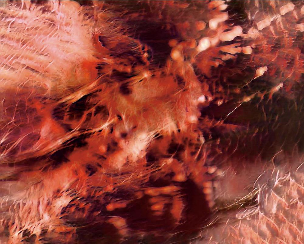 Luracato, Salta, Argentina - Iteration number 30 - Artwork
