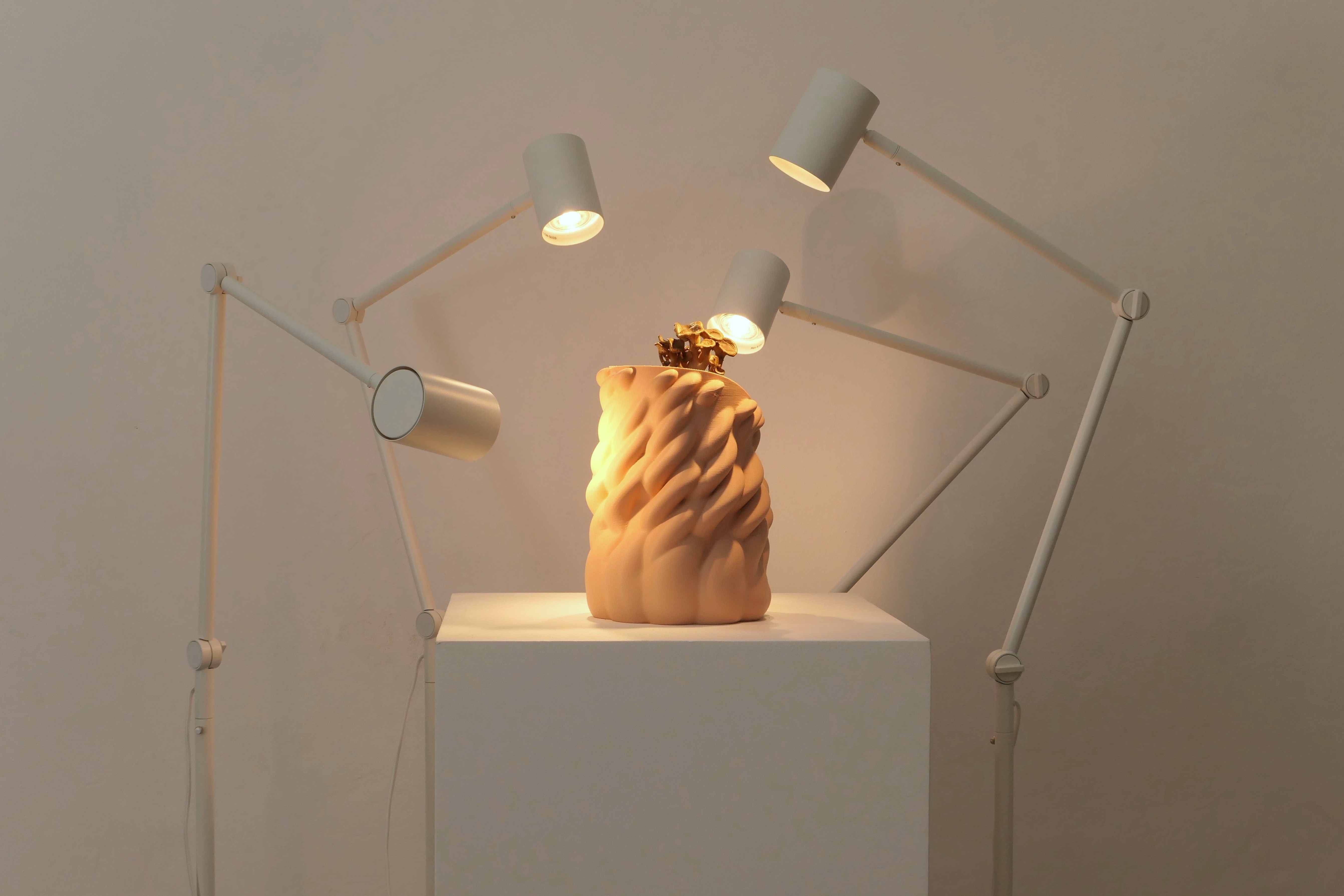 Honguera Series_ 02 - Artwork