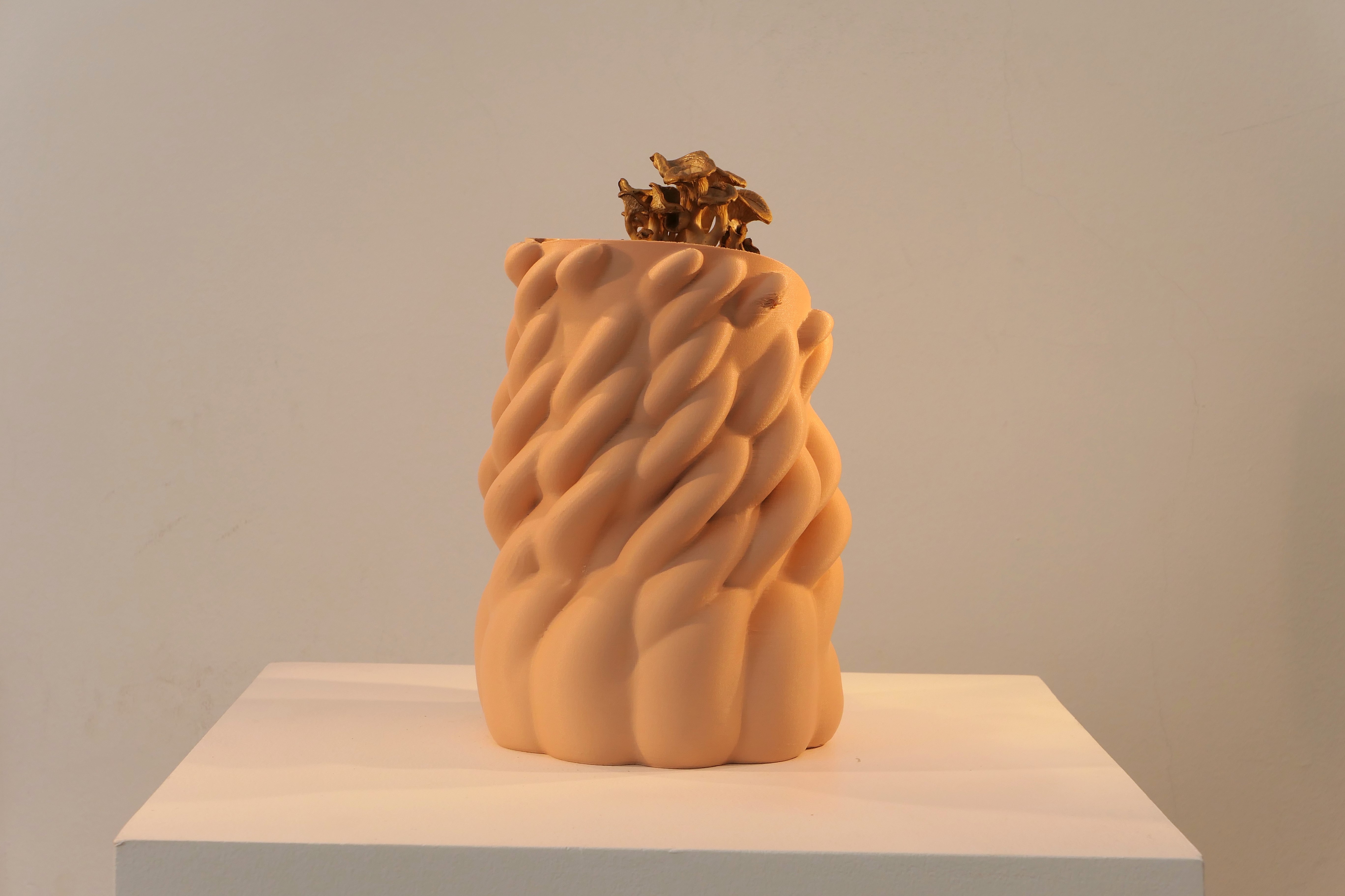 Honguera Series_ 02 - Artwork