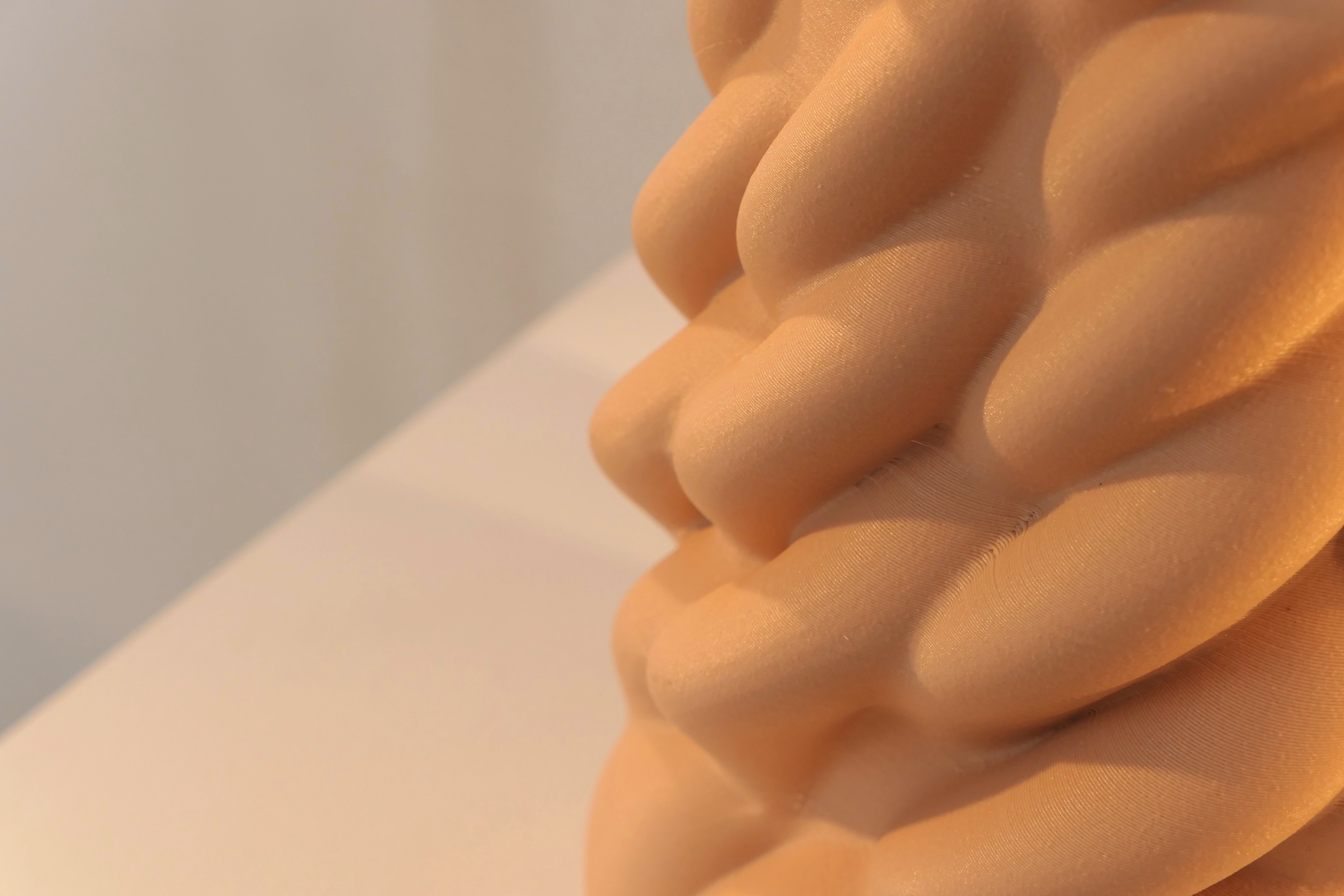 Honguera Series_ 02 - Artwork