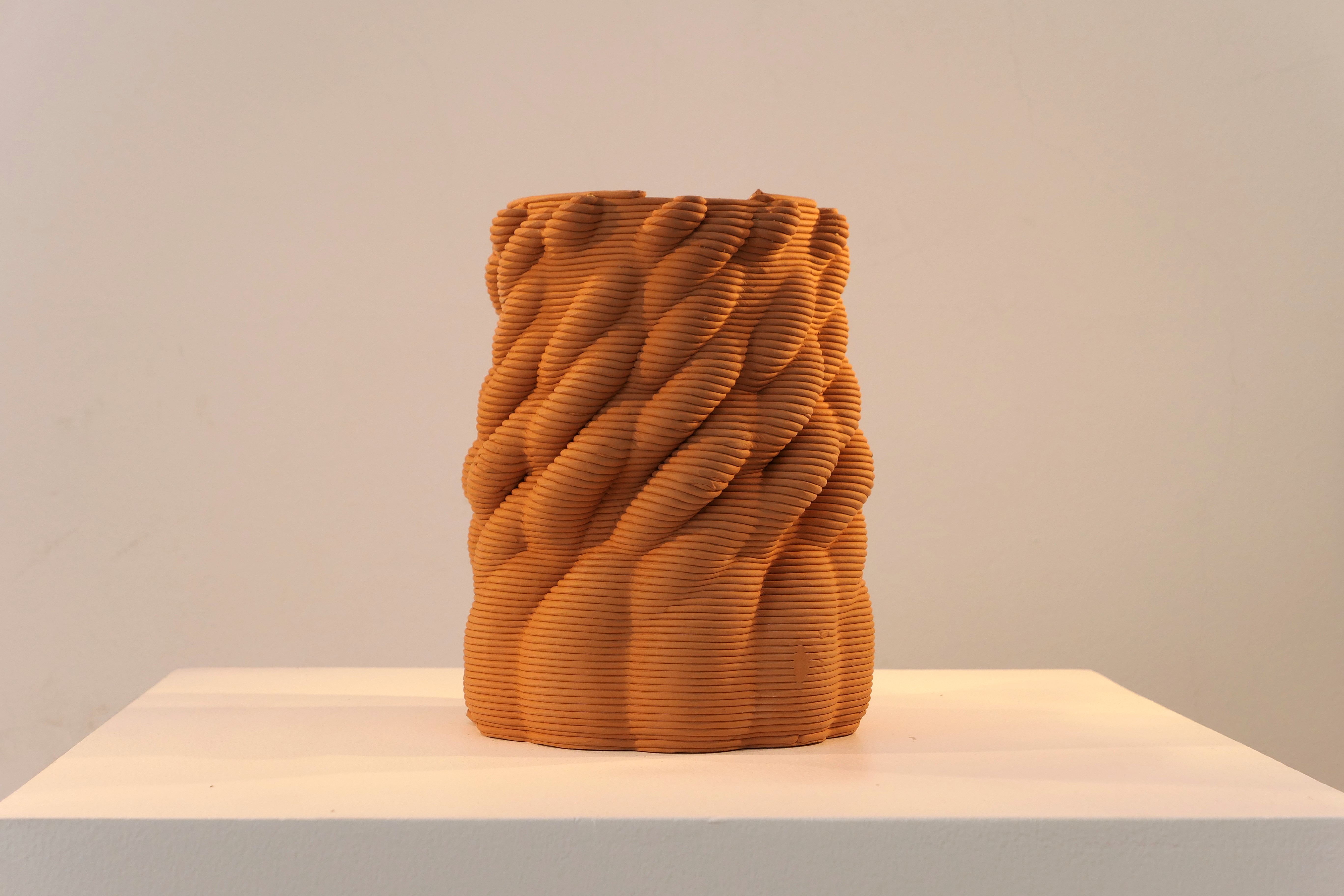 Honguera Series_ 05 - Artwork