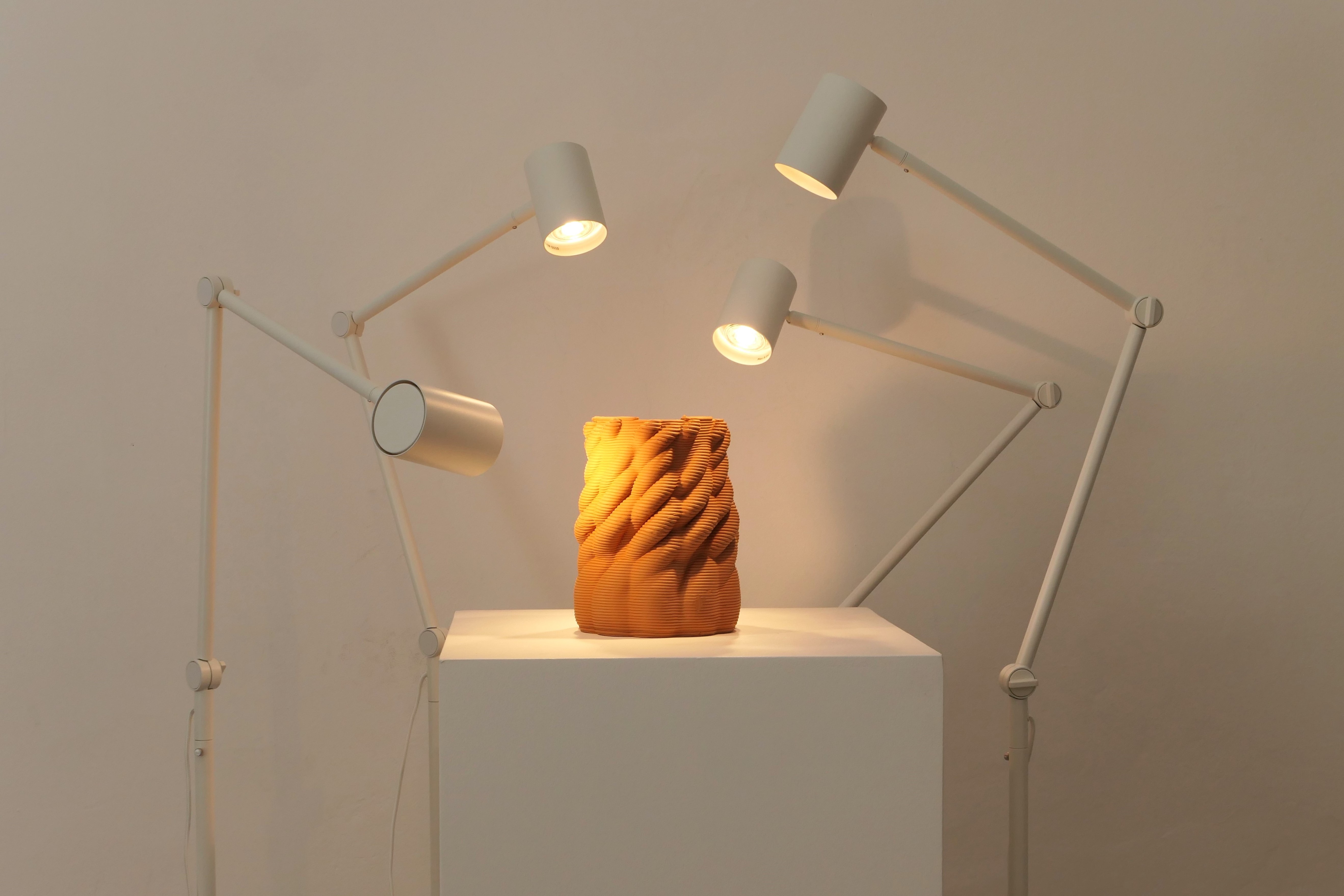 Honguera Series_ 05 - Artwork