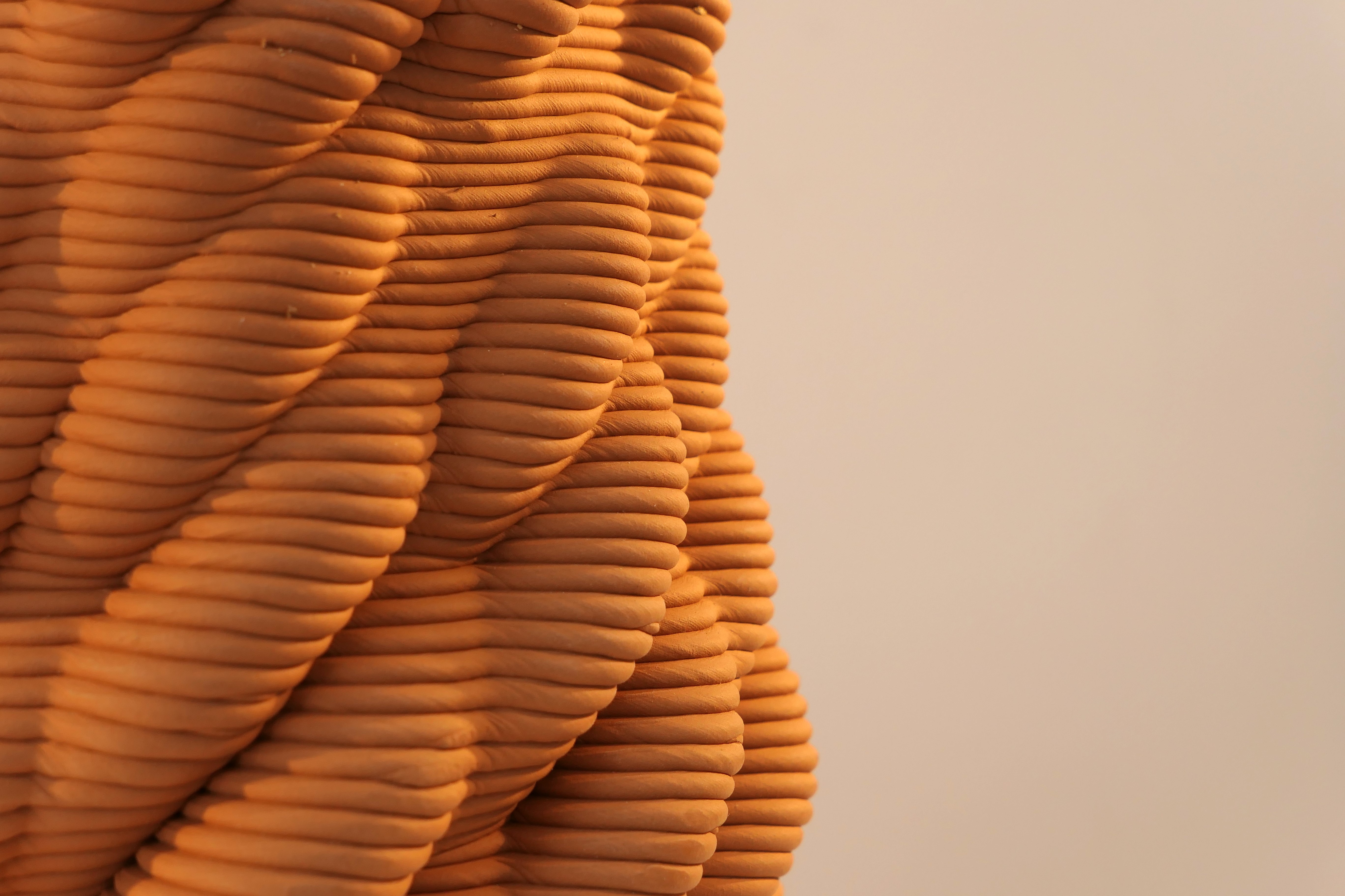 Honguera Series_ 05 - Artwork