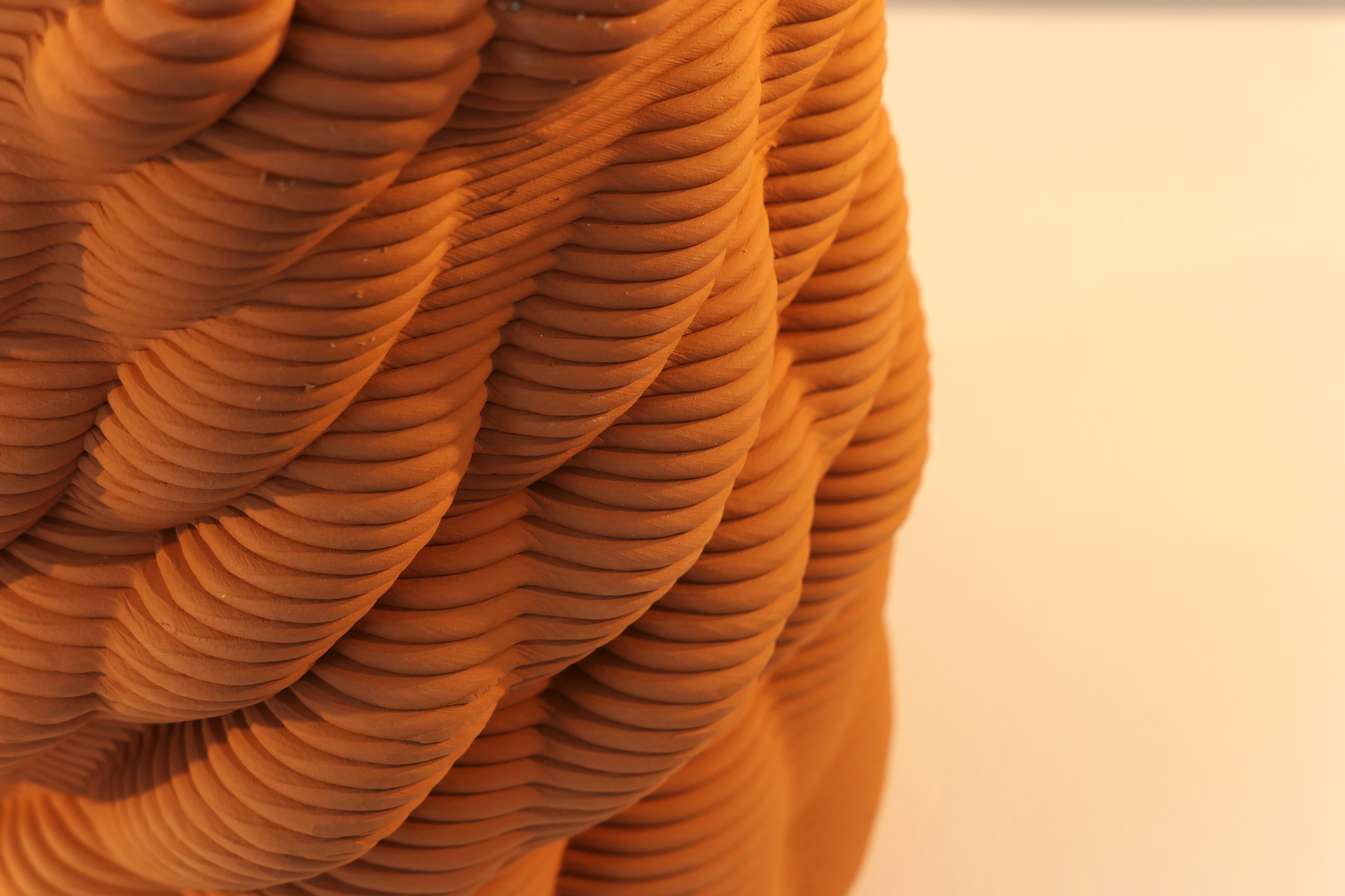 Honguera Series_ 05 - Artwork