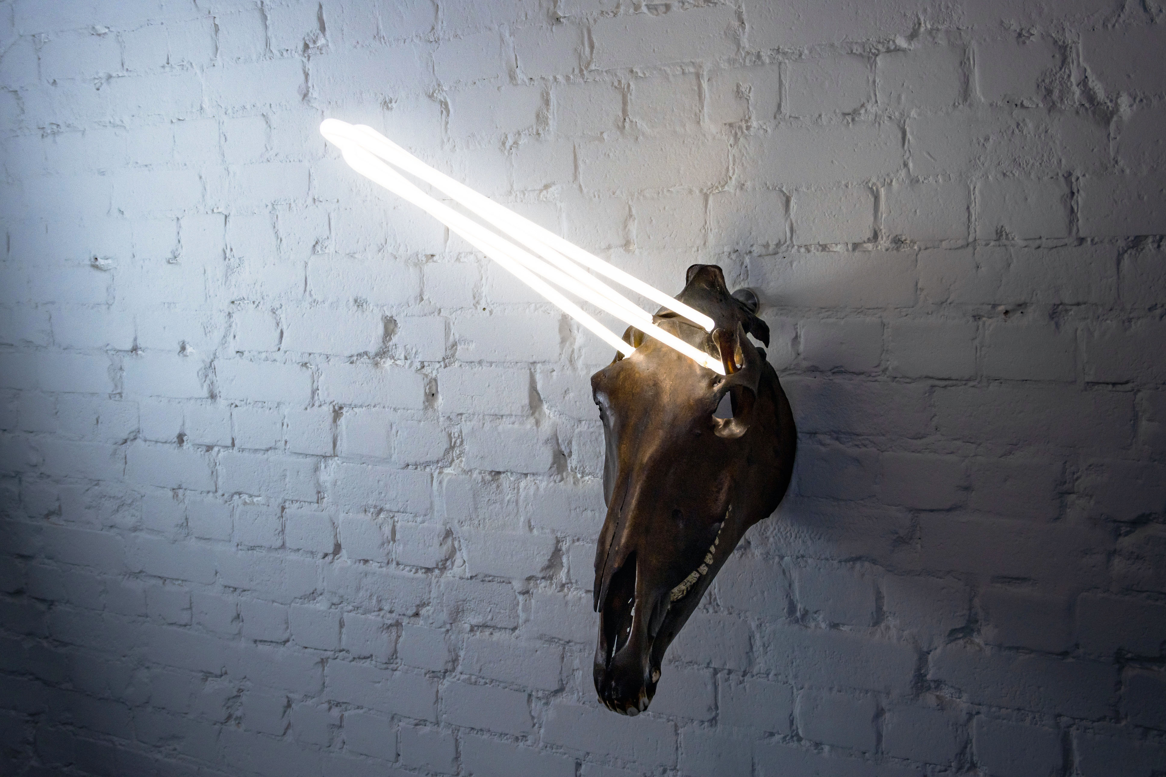 Black Unicorn - Artwork