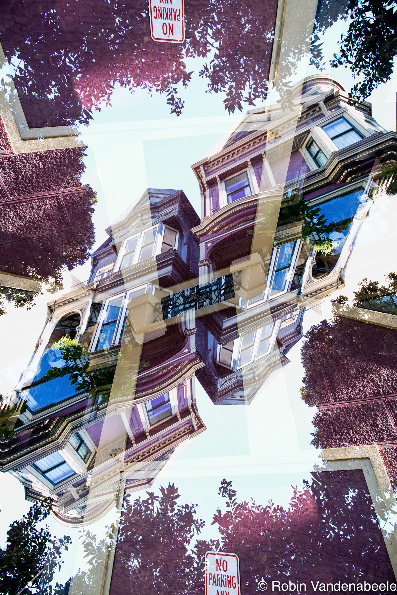 Painted Ladies #6 - Artwork
