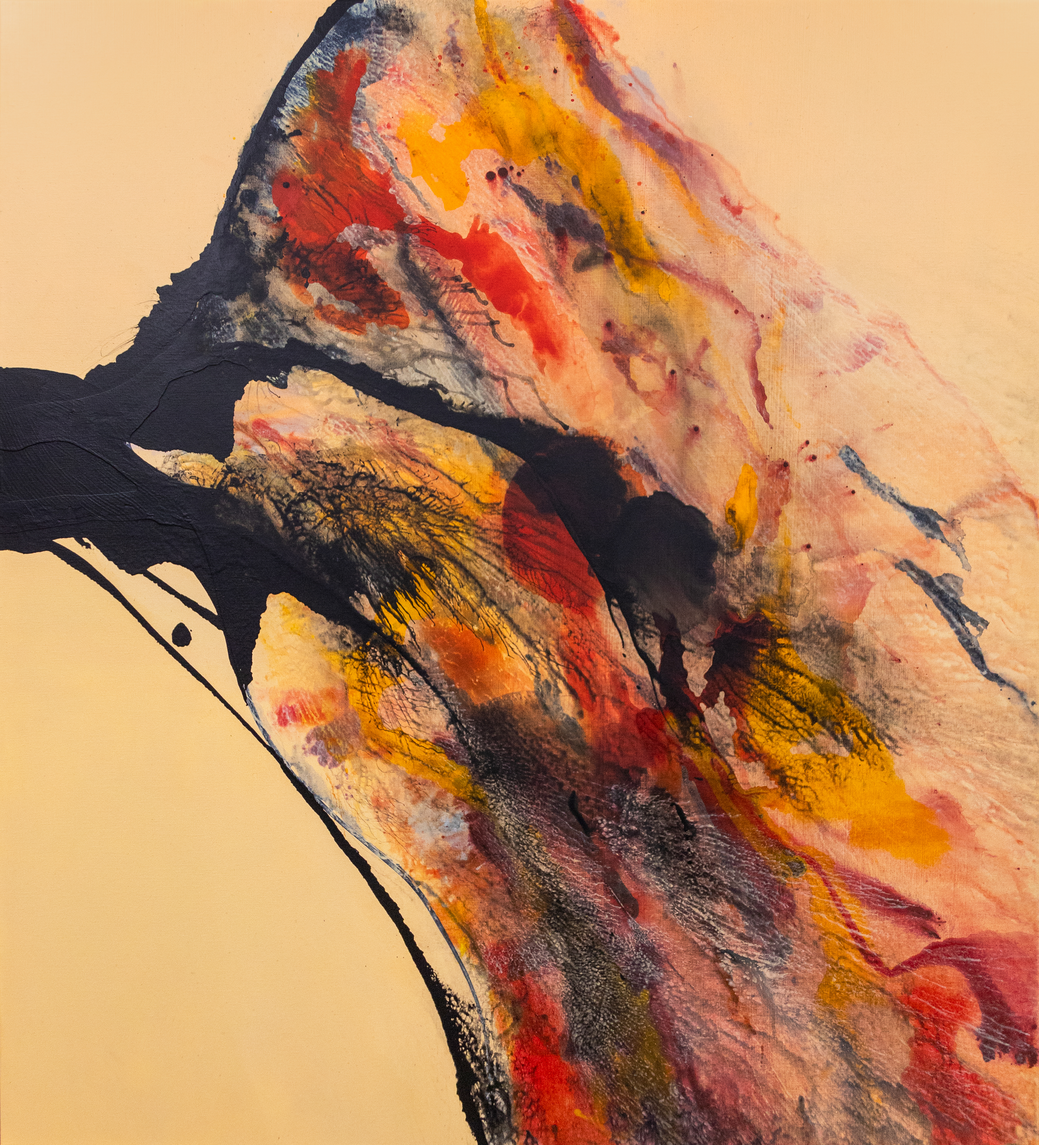 Chaotic Harmony - Artwork