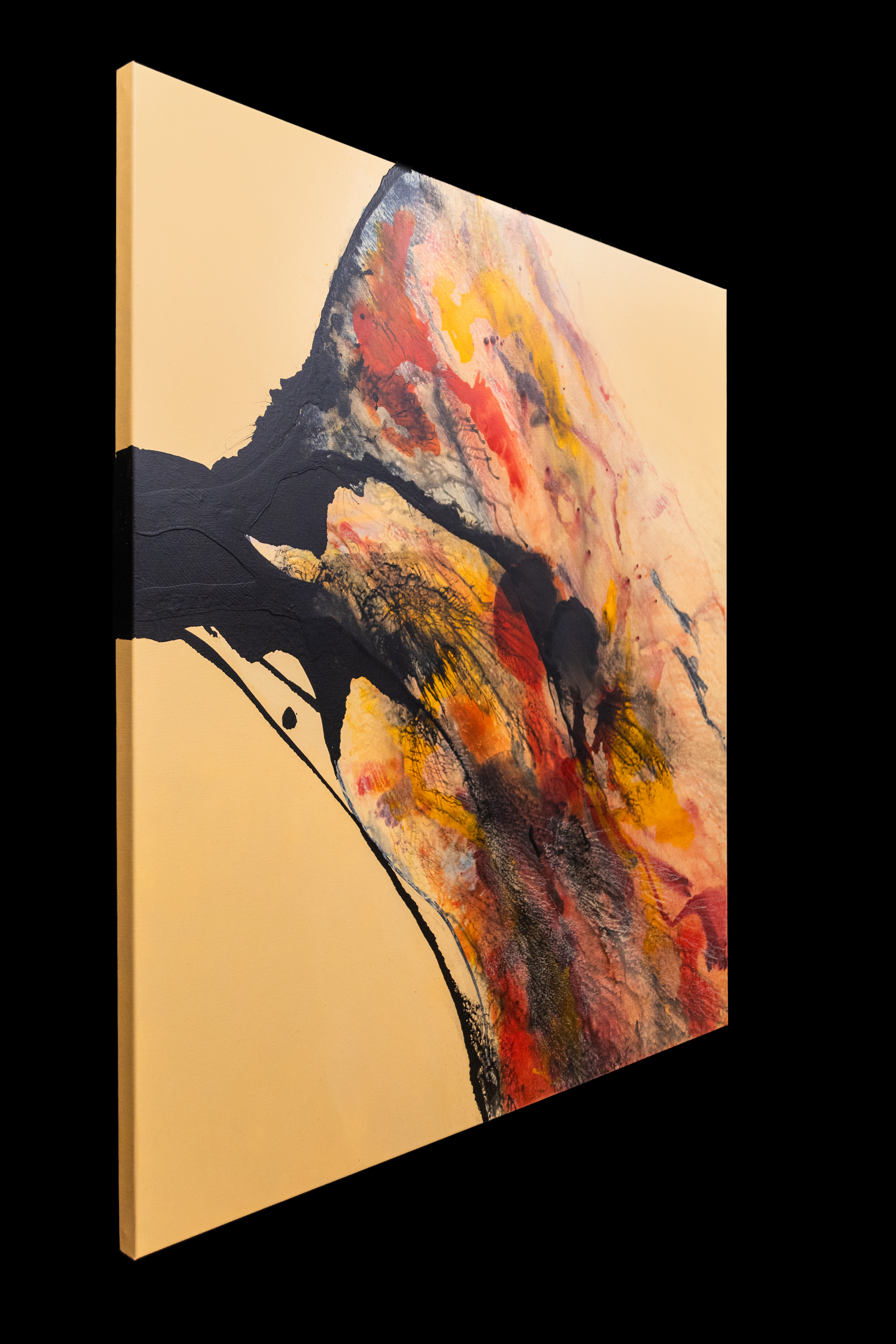 Chaotic Harmony - Artwork