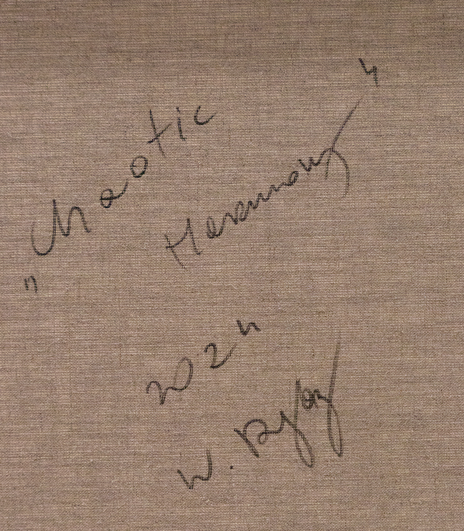 Chaotic Harmony - Artwork