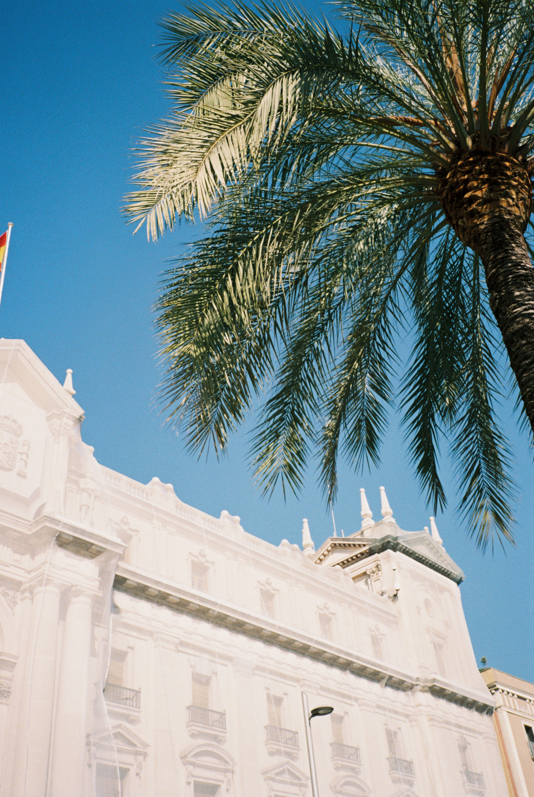 Veiled Building - Artwork