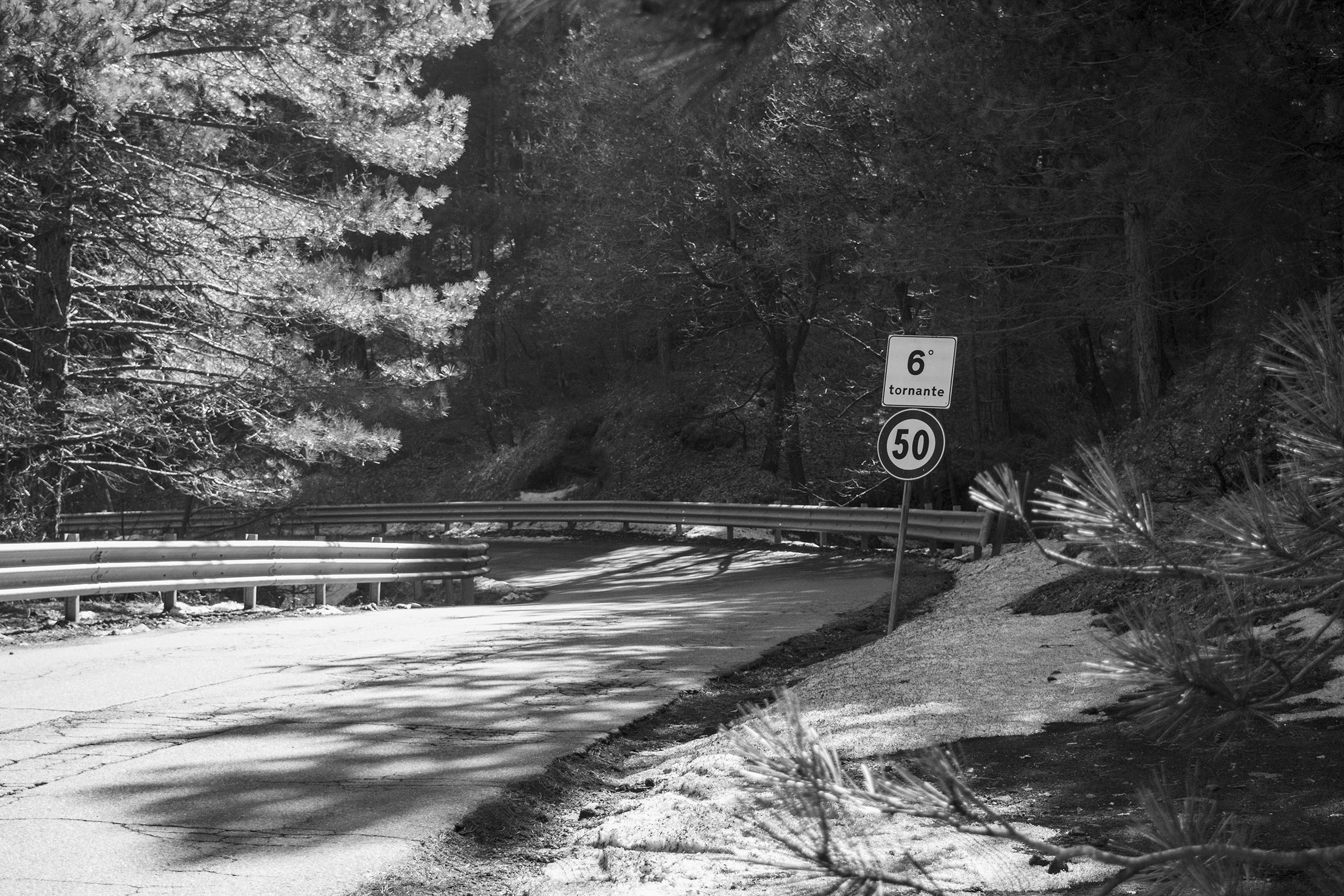 Segnali di vita - Artwork