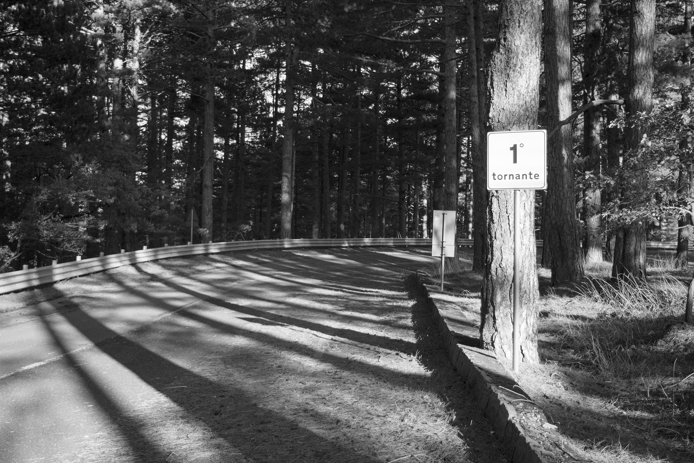 Segnali di vita - Artwork