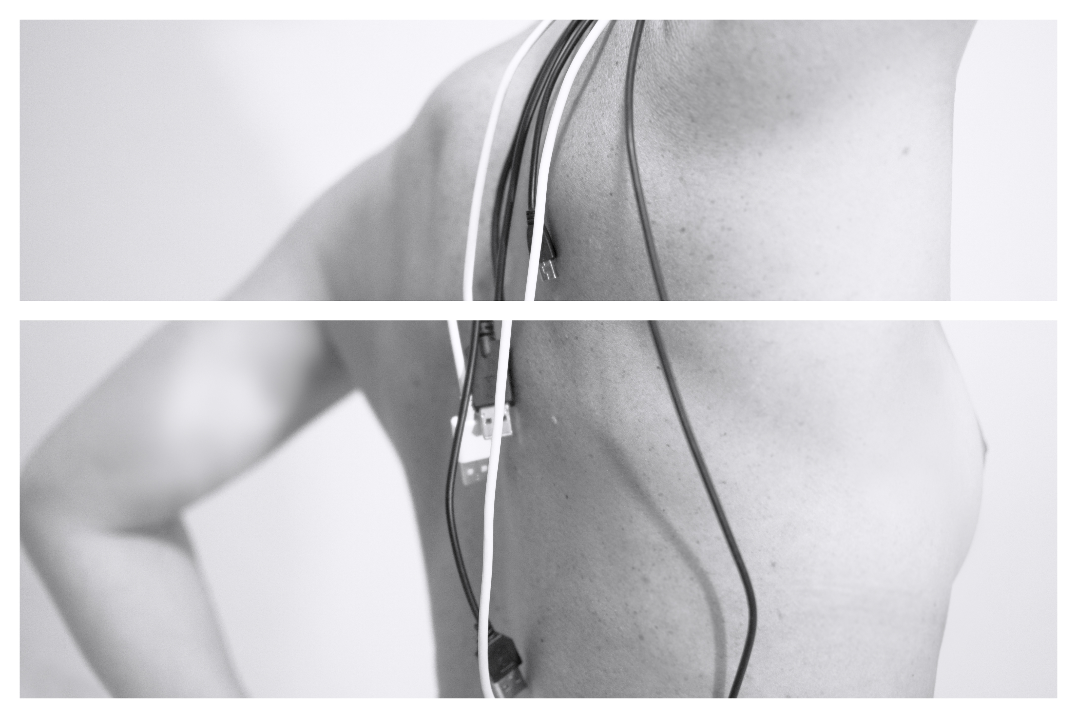 Perfect body: dal pensiero alla rete - Artwork