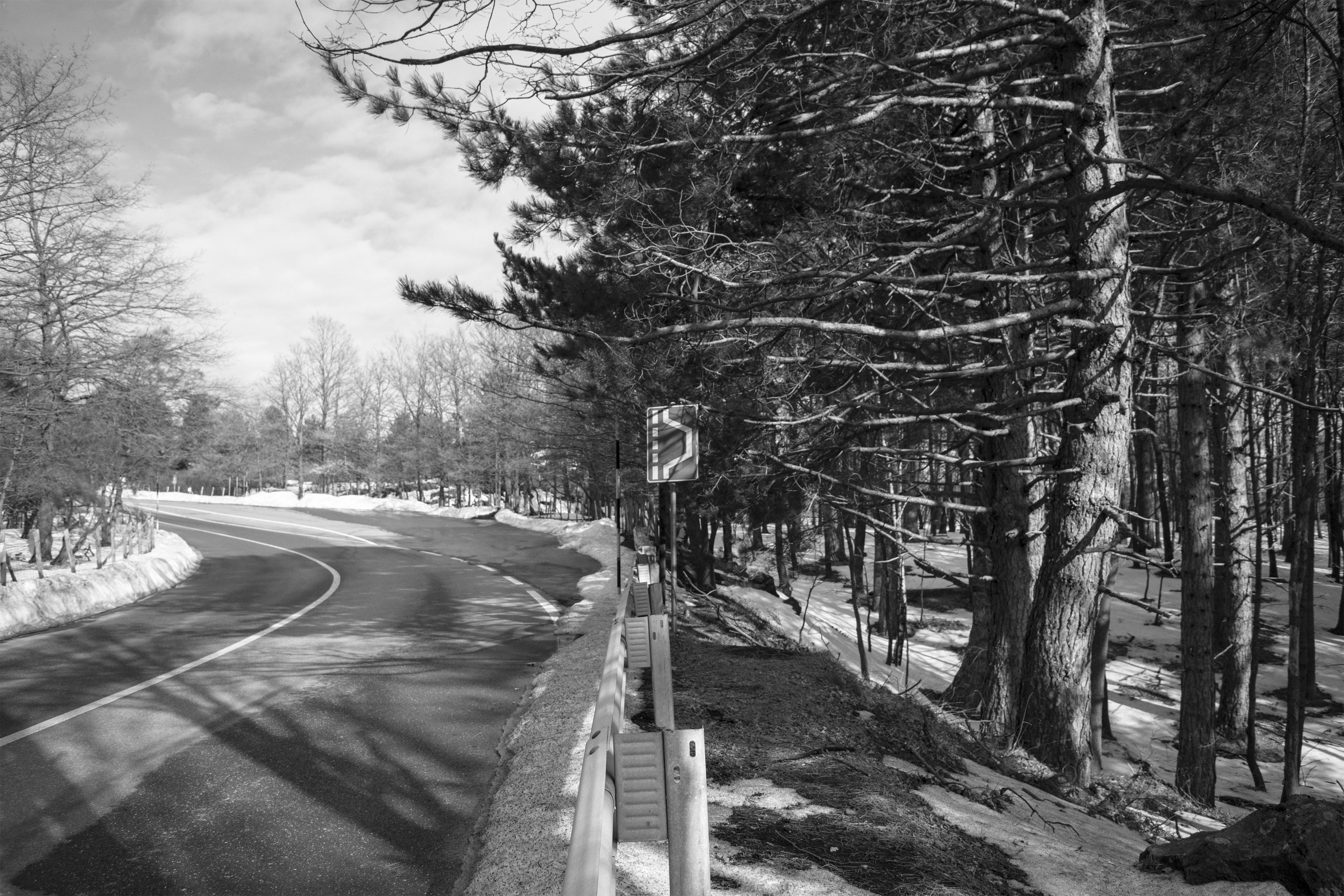 Segnali di vita - Artwork