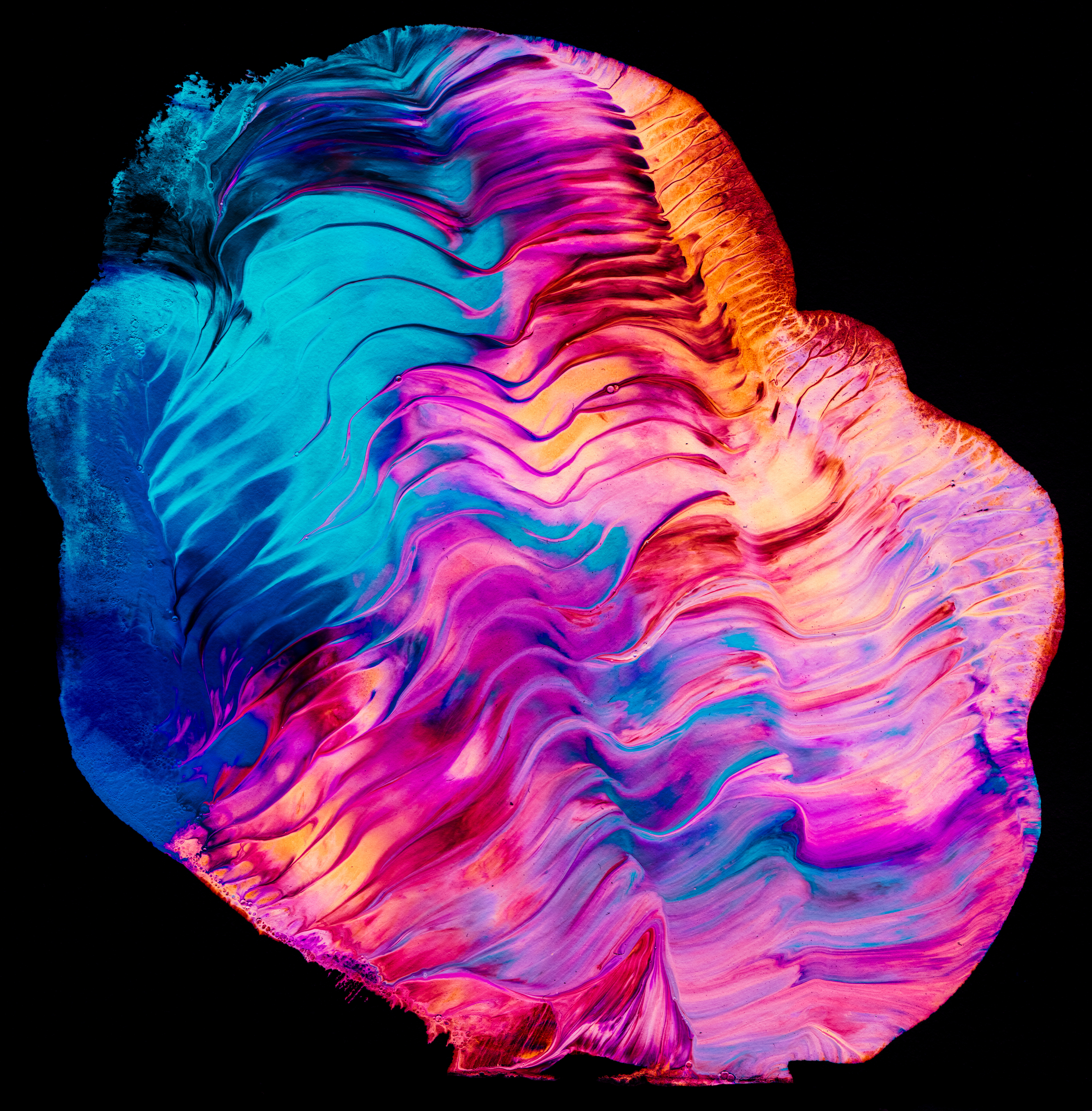 Abstract Paint  - Artwork