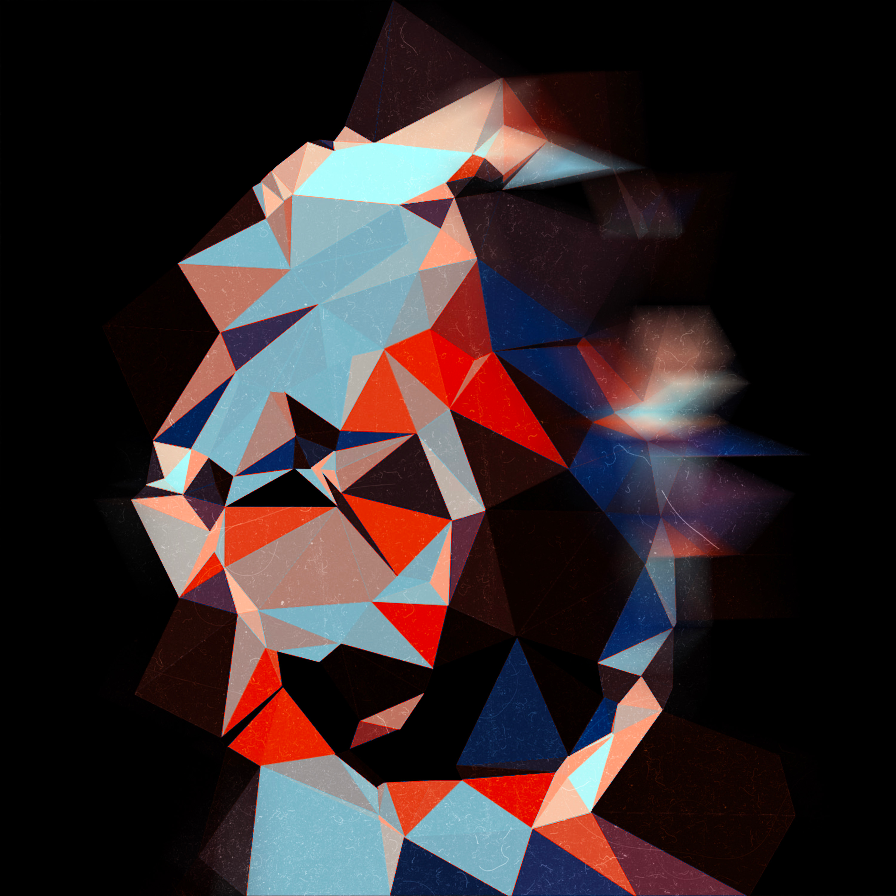 The New Types - Artwork