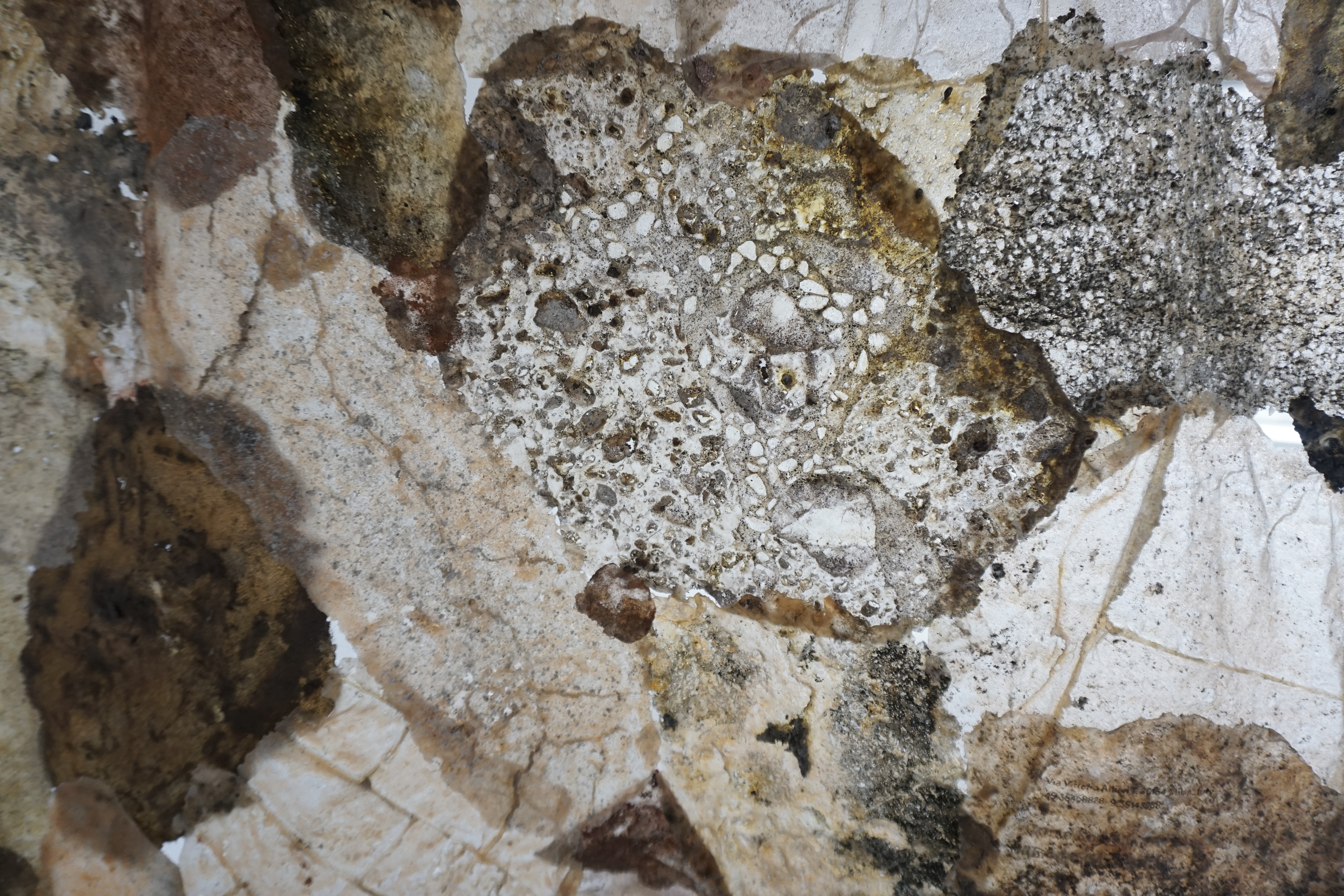 Contaminated tissue - Artwork