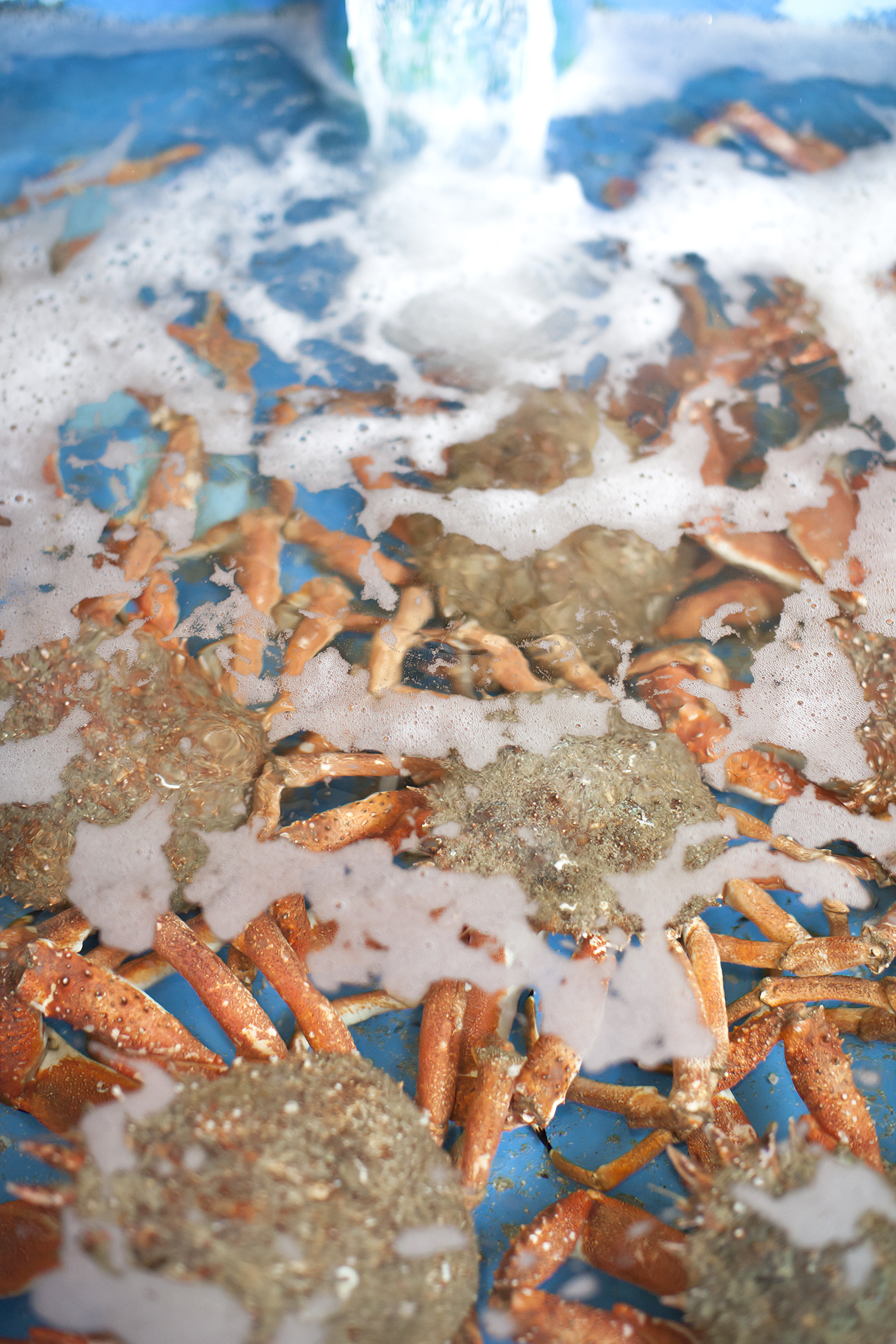 La Vie Grouille (110/110) - Artwork