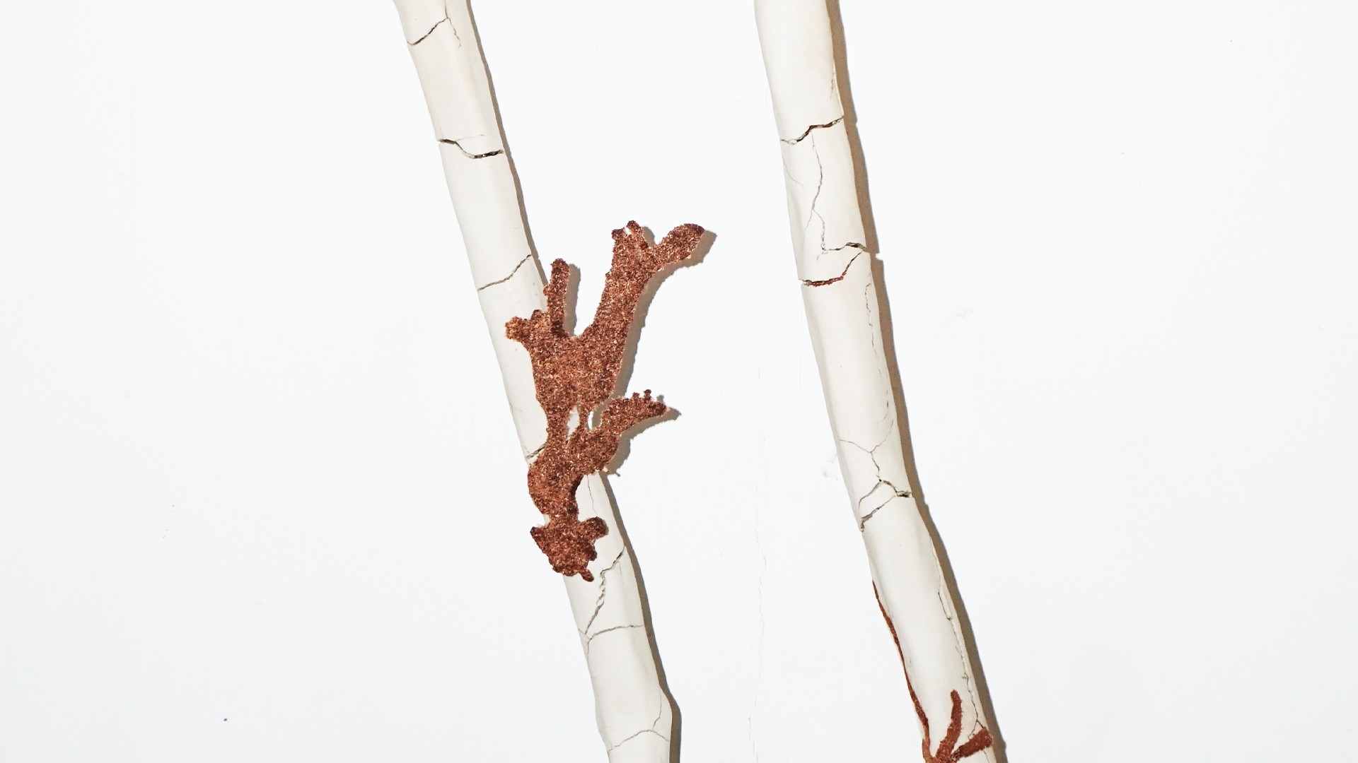 Growing Traces  - Artwork