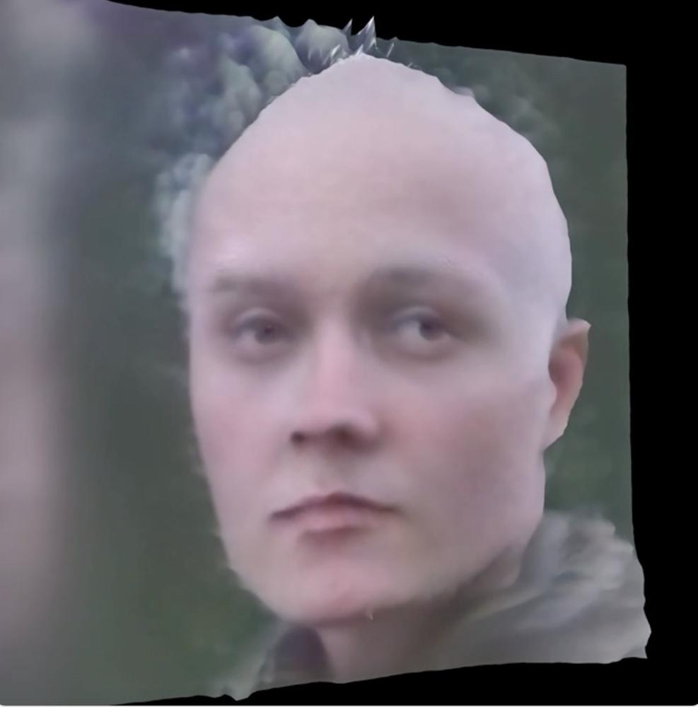 Heroes of the Sneaky Kingdom - Artwork