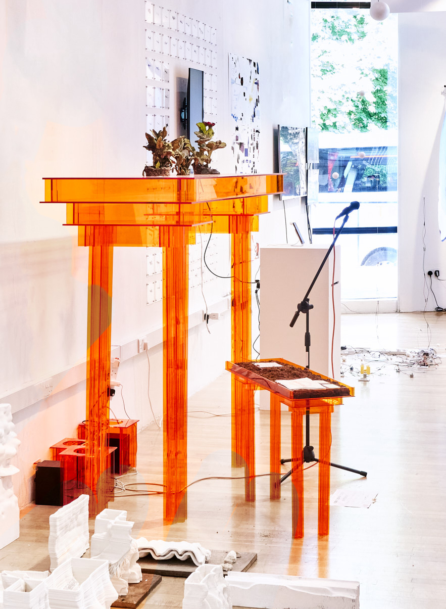 Organic Social Capital - Artwork